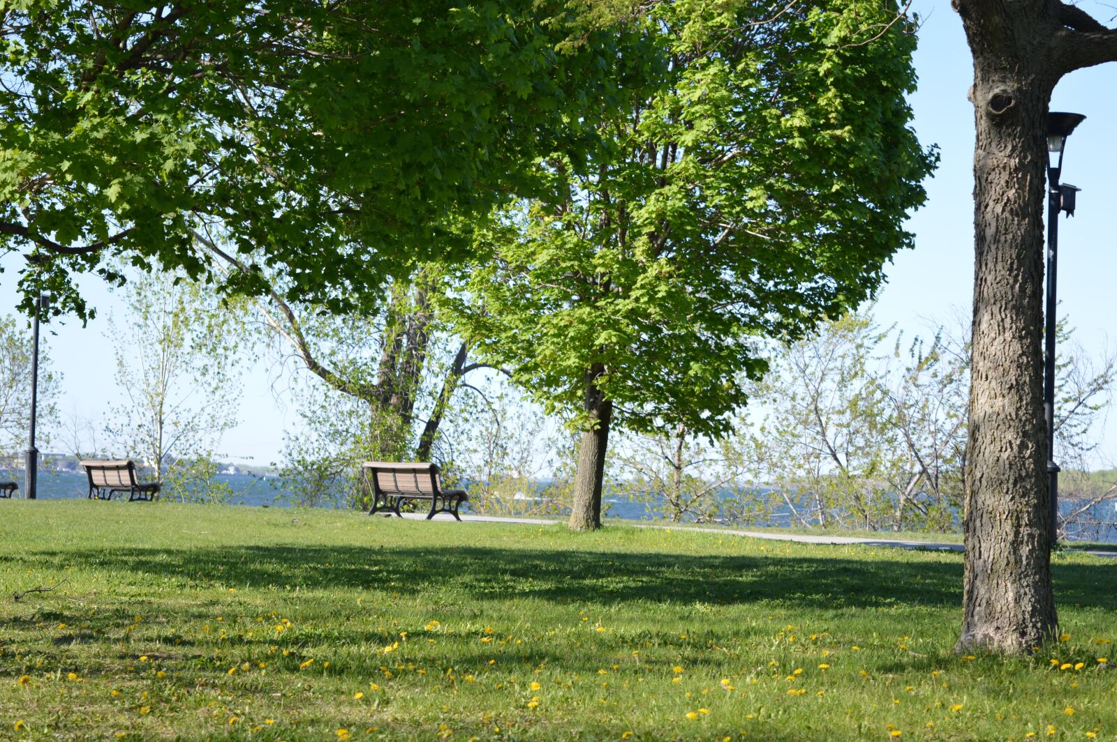 Nikon D3200 sample photo. Nature, ambience, atmospheric photography