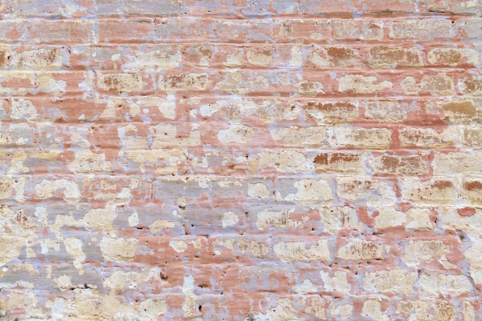 Leica V-Lux 2 sample photo. Bricks, background, texture photography