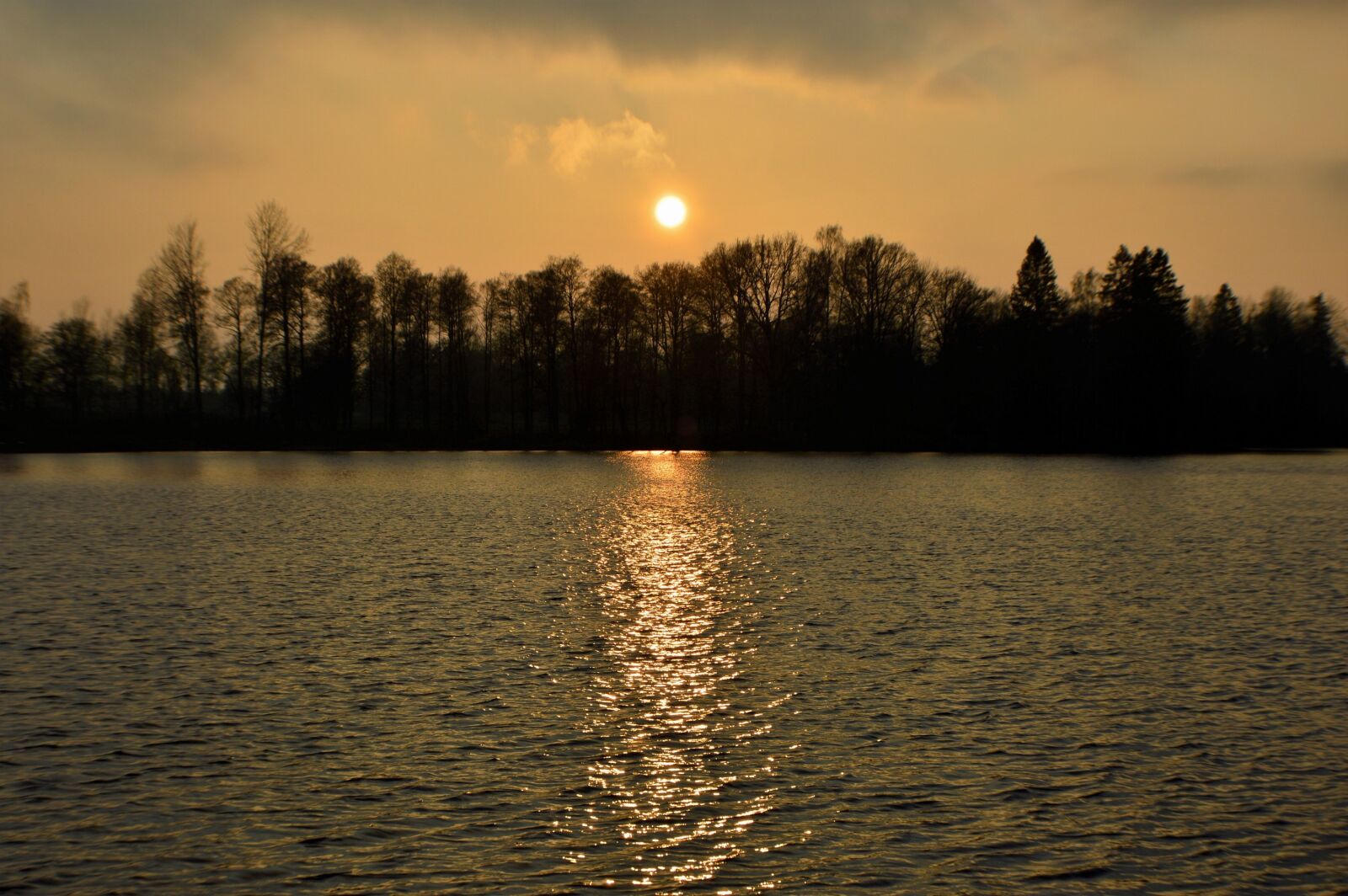 Nikon D3200 sample photo. Forest, lake, landscape, nature photography
