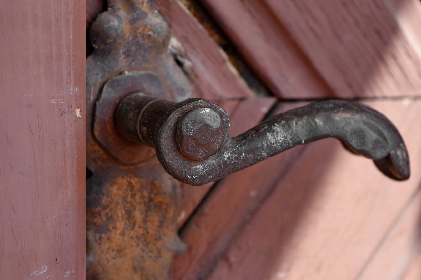 Nikon D5500 sample photo. Cast iron, front door photography