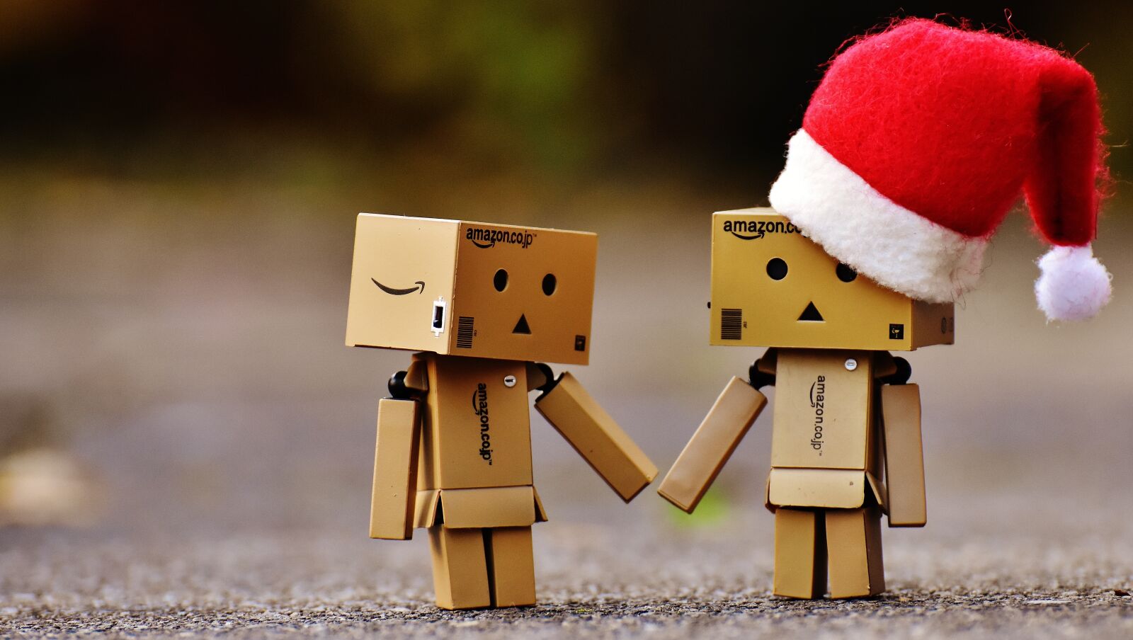 Nikon D7200 sample photo. Danbo, christmas, figure photography
