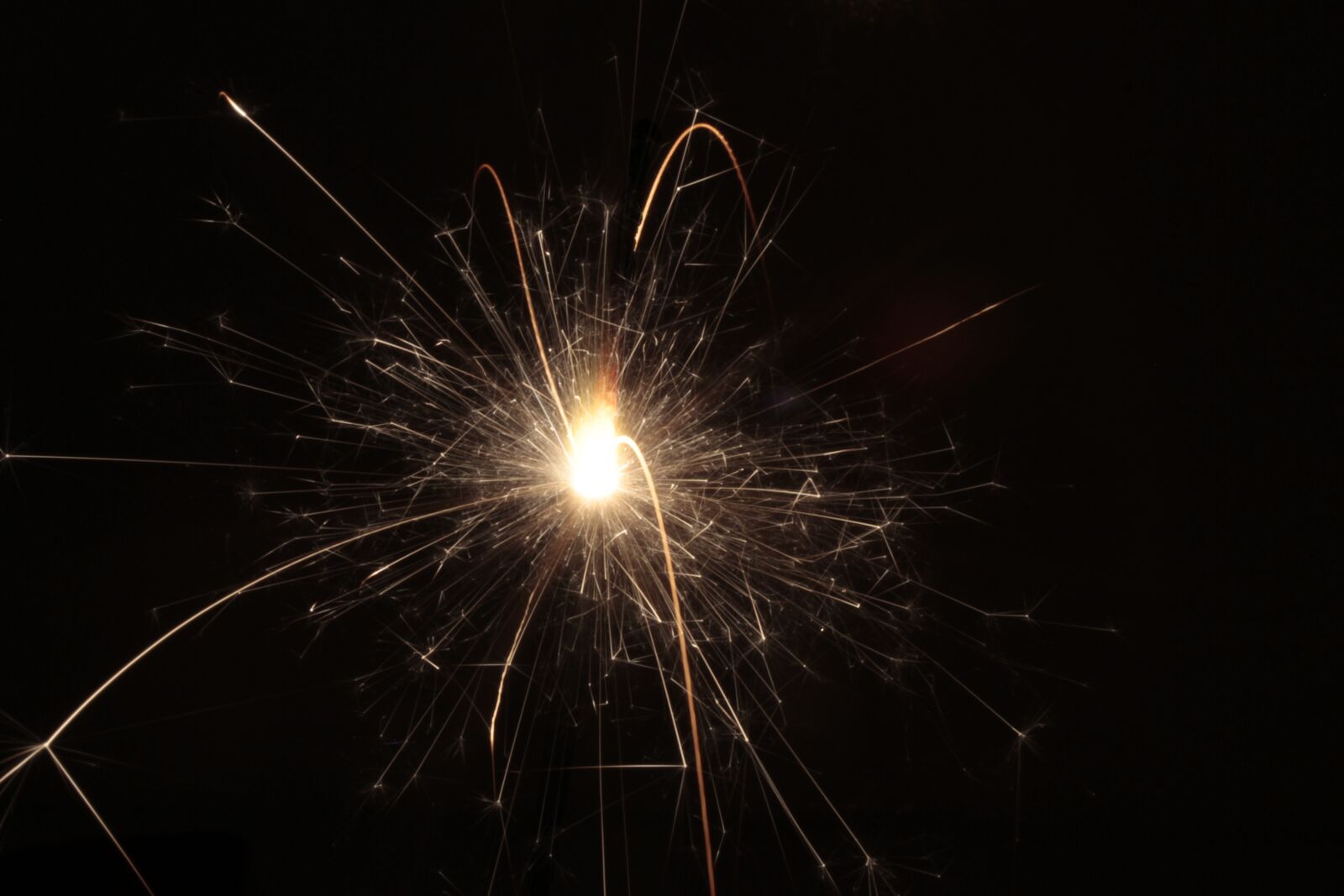 Canon EOS 550D (EOS Rebel T2i / EOS Kiss X4) sample photo. Roman candle, macro, bi photography