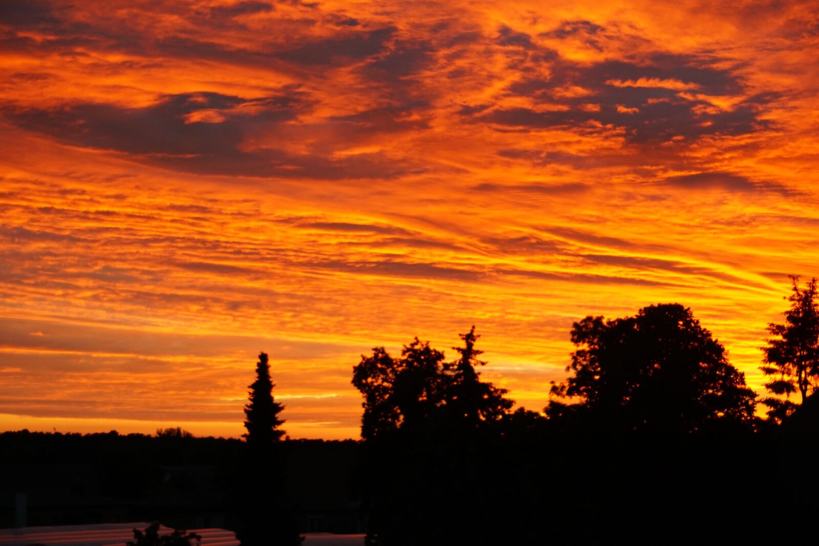 Sony a6000 sample photo. Sunset, evening, nature photography