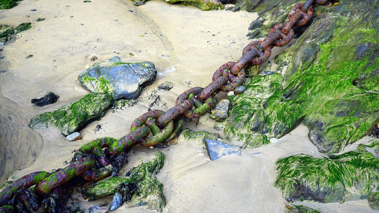 Sony a7 + Sony FE 28-70mm F3.5-5.6 OSS sample photo. Rusty, chain, old photography