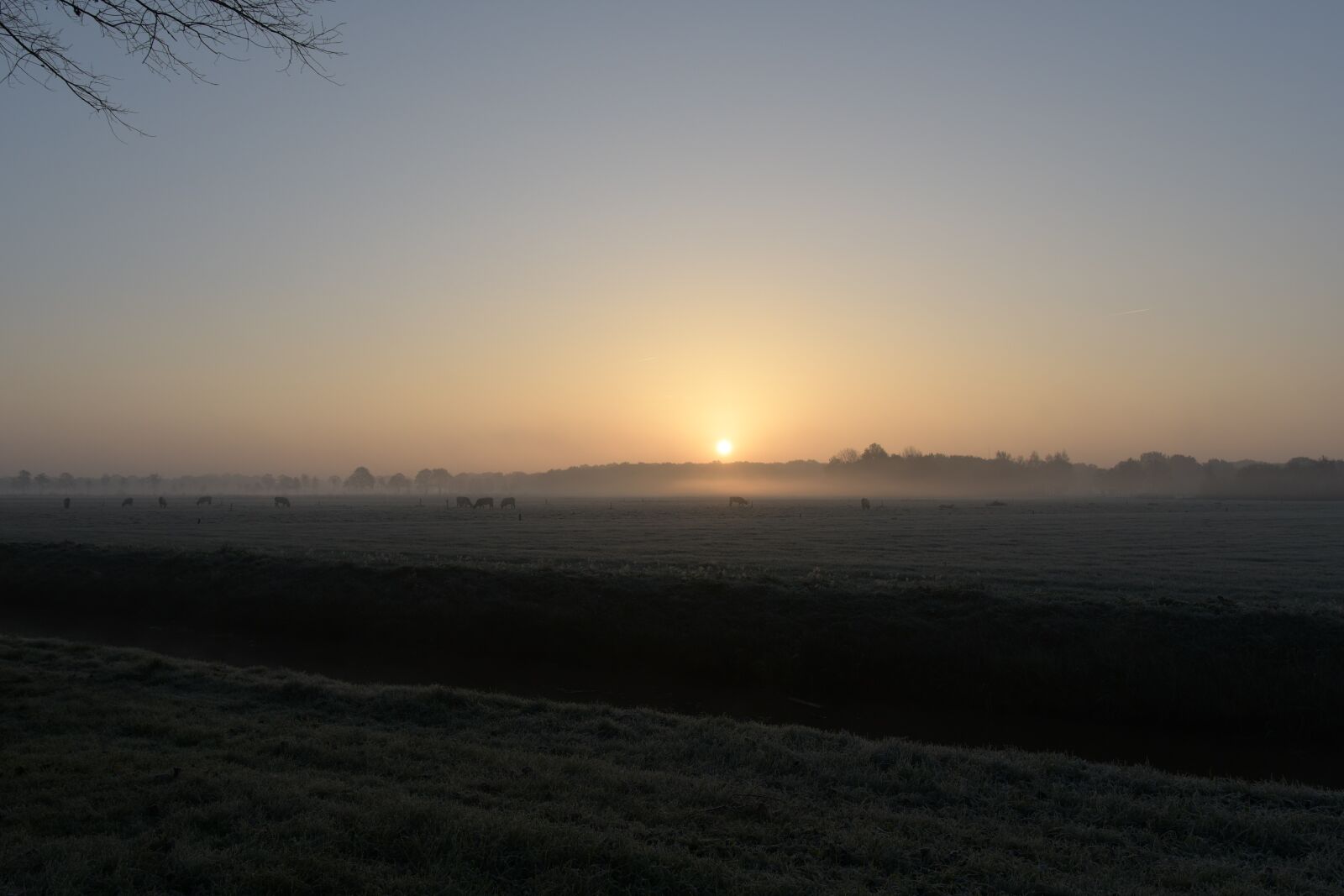 Nikon D500 sample photo. Light, morning light, sunrise photography