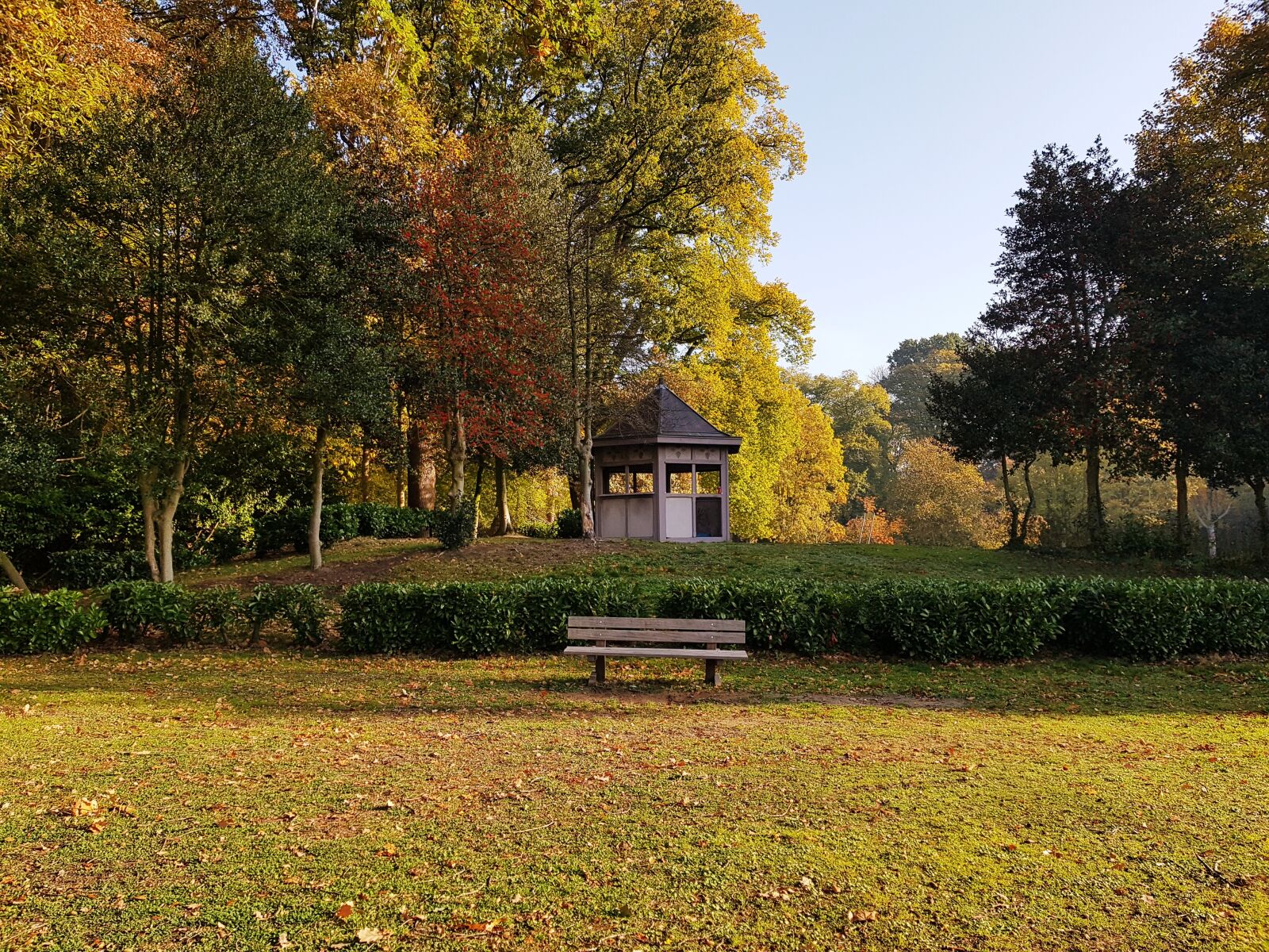 Samsung Galaxy S8+ sample photo. Outdoor, autumn, falls photography