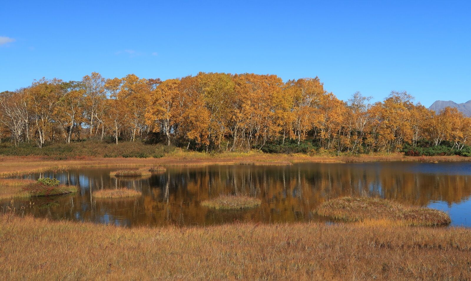 Canon PowerShot G7 X Mark II sample photo. Autumn, lake, forest photography