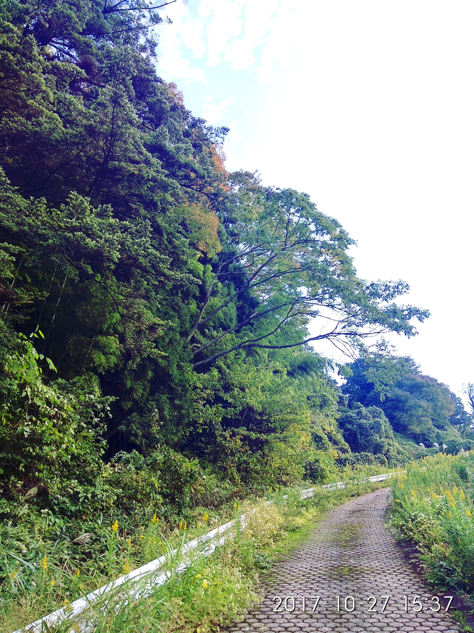 Xiaomi Redmi Note 4 sample photo