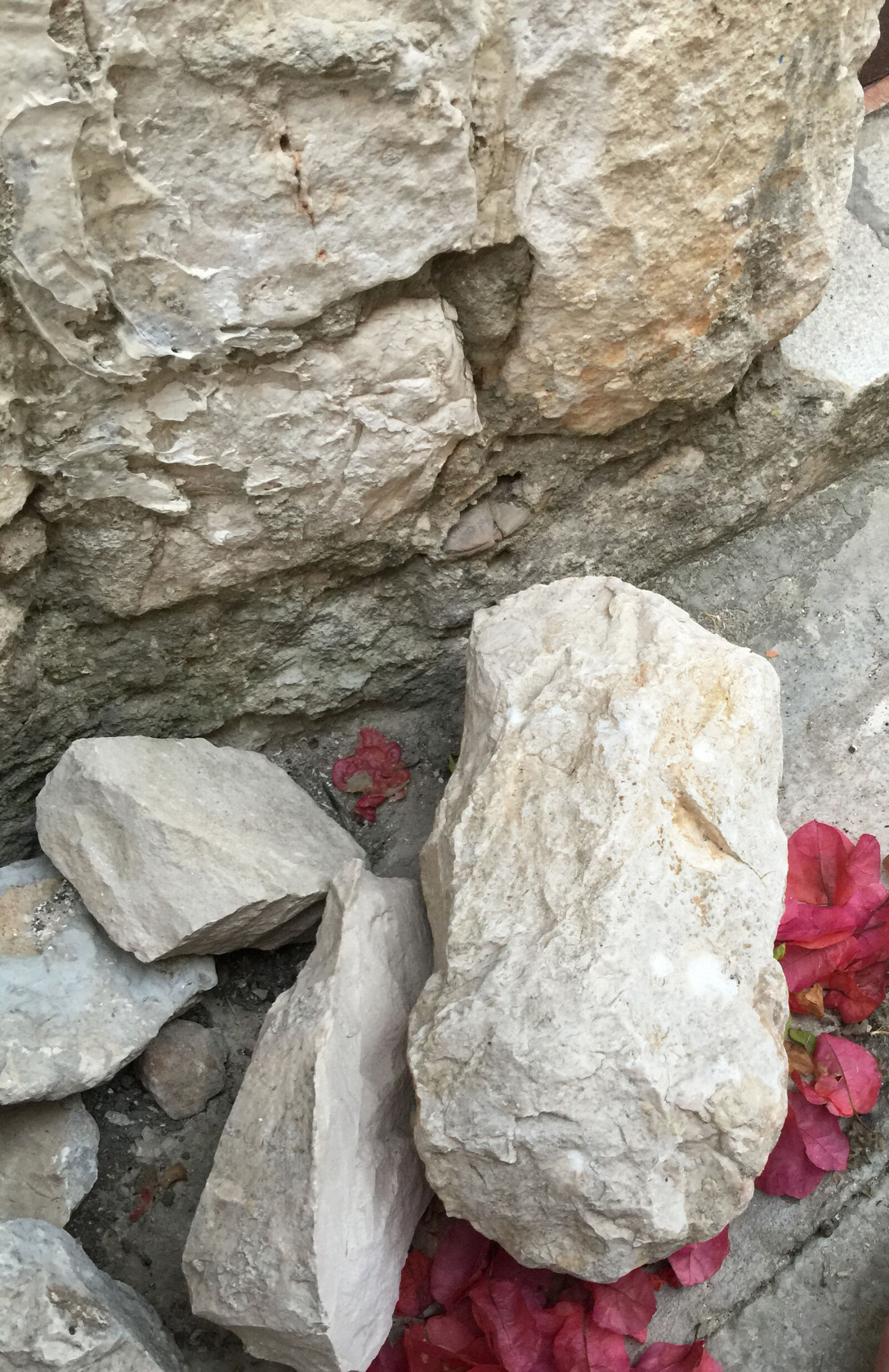iPhone 6 Plus back camera 4.15mm f/2.2 sample photo. Backgroung, stones photography