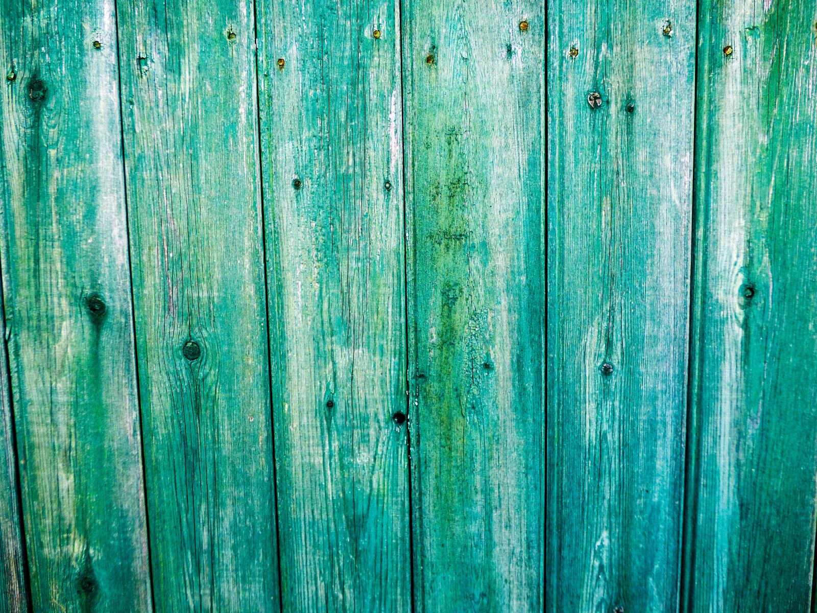 Panasonic DMC-FZ72 sample photo. Background, fence, wood photography