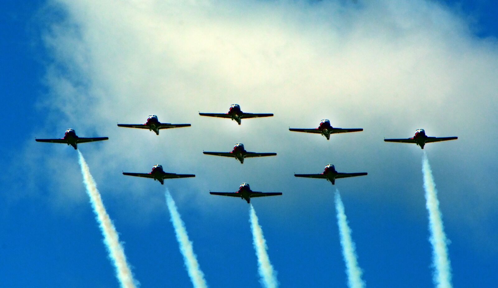Nikon D7100 sample photo. Snowbirds, royal canadian air photography