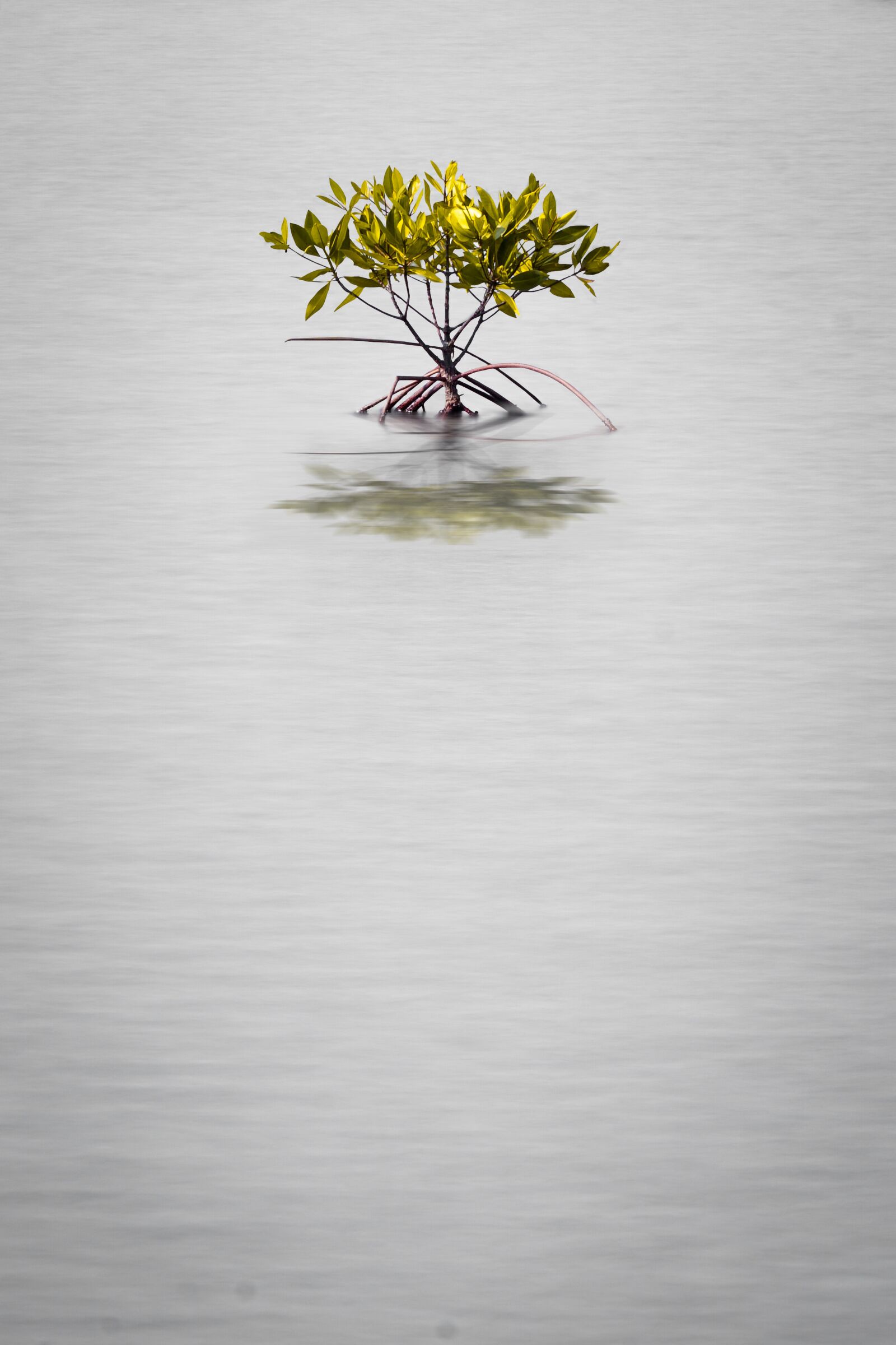 Sony a6000 + Sony E PZ 18-105mm F4 G OSS sample photo. Water, nature, reflection photography