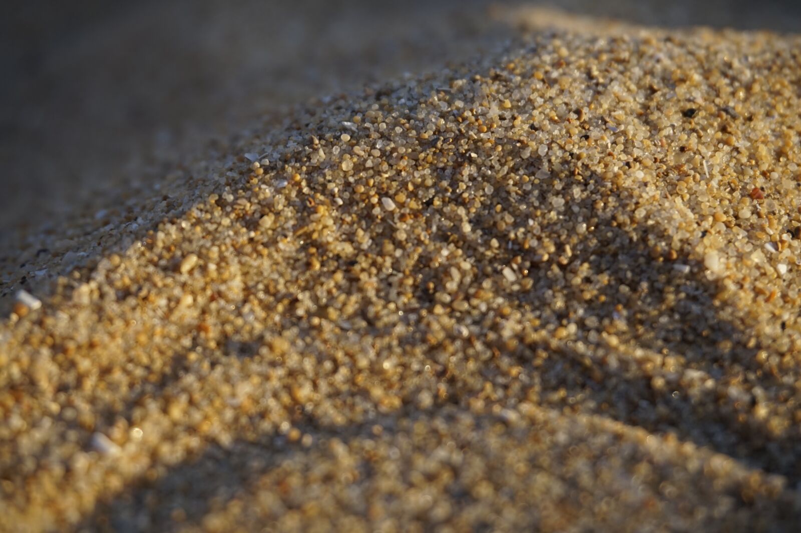 Sony Alpha a5000 (ILCE 5000) sample photo. Sand, holiday, beach photography