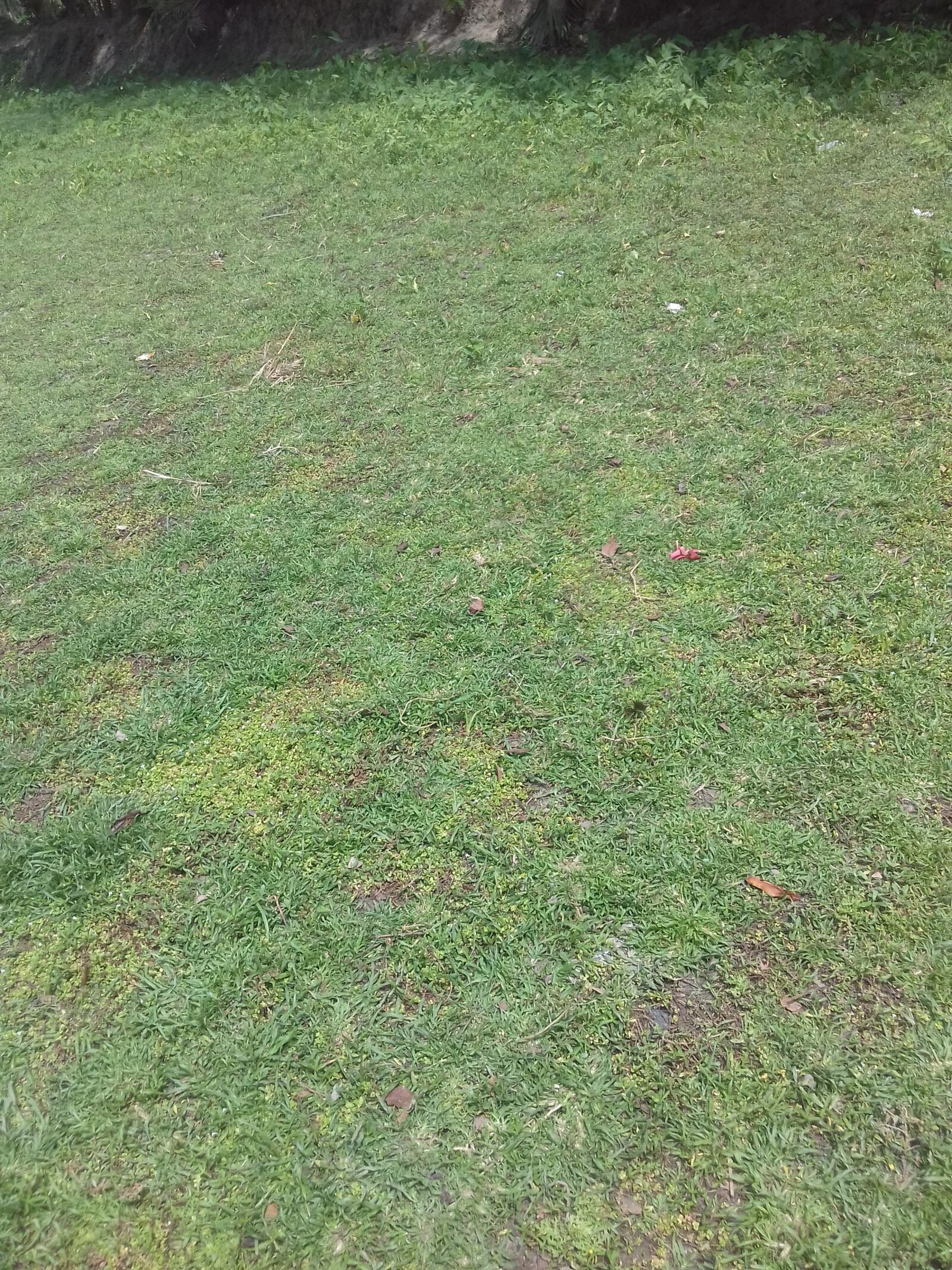 Samsung Galaxy J3(2016) sample photo. Nice, green, field photography