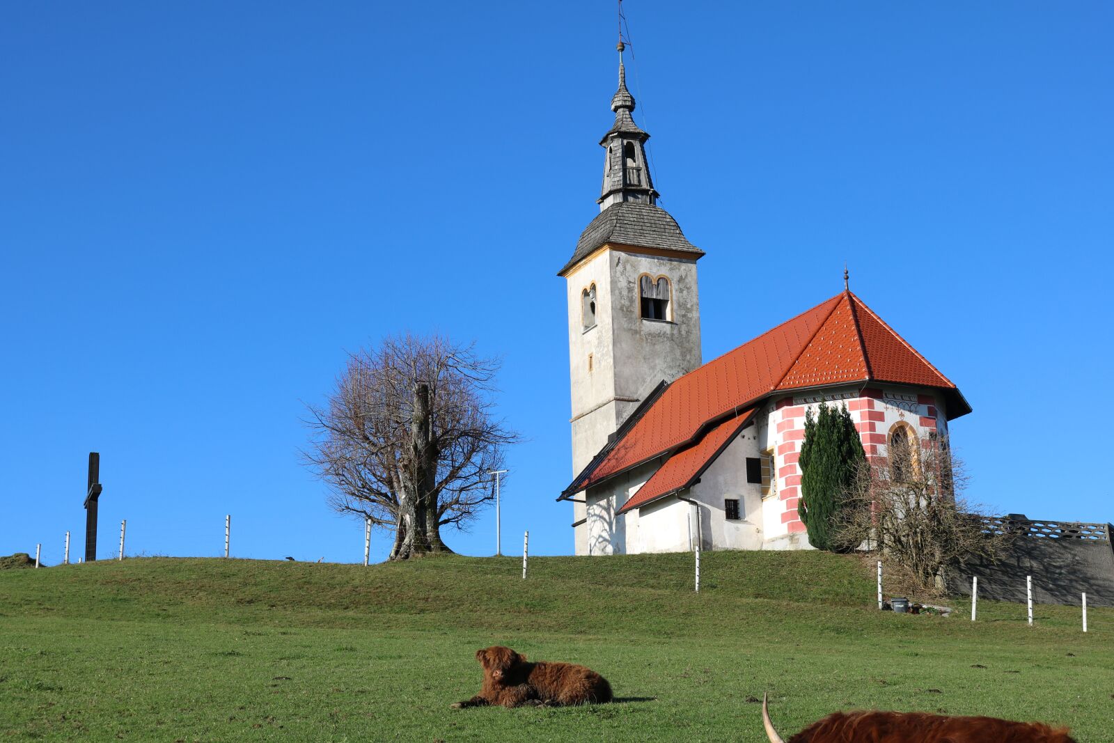 Canon EOS 750D (EOS Rebel T6i / EOS Kiss X8i) sample photo. Koreno, horjul, church photography