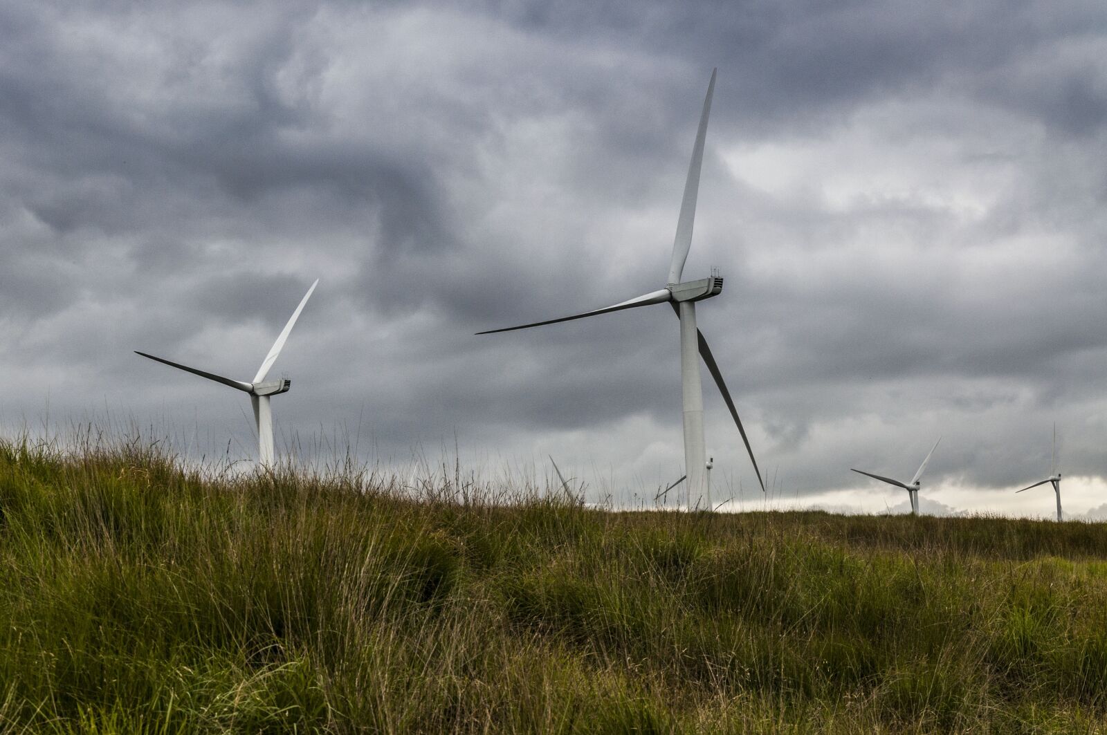 Nikon D90 sample photo. Landscape, wind farm, wind photography