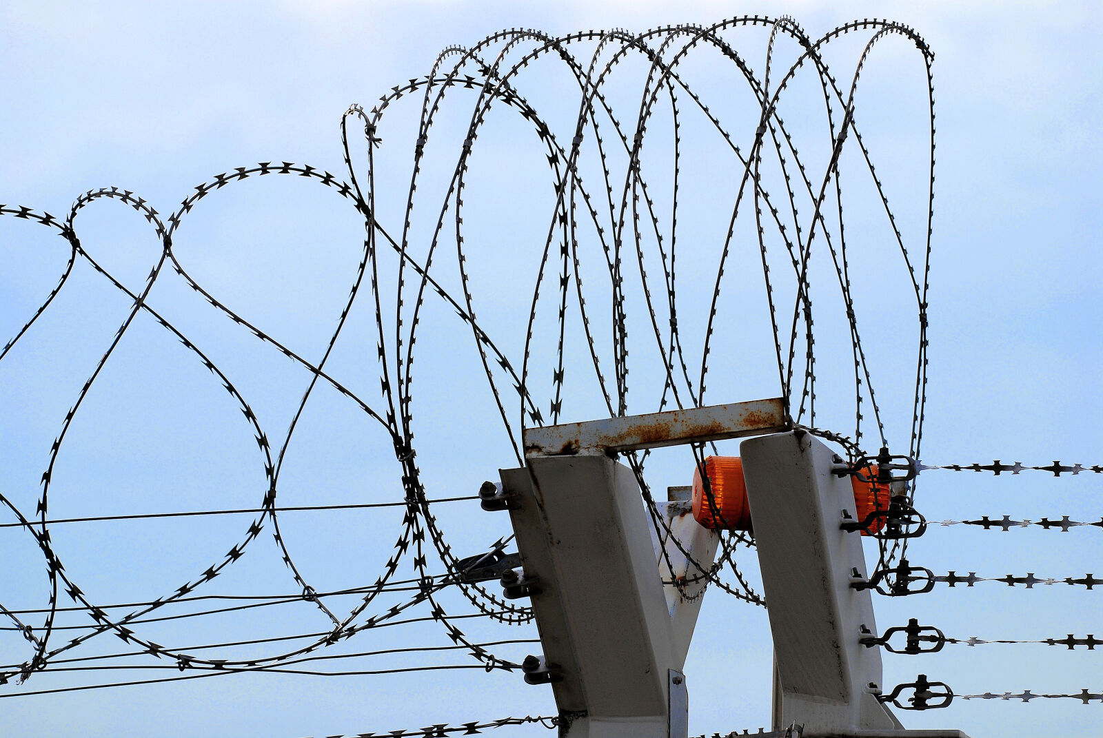 Nikon D40X sample photo. Barbed, wire, theme, layers photography