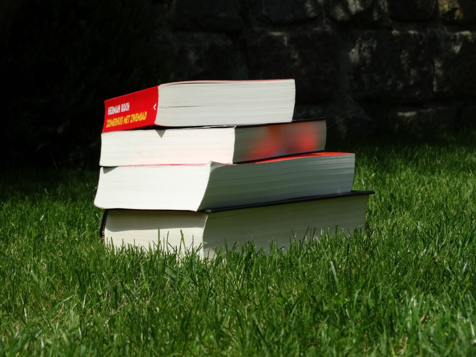 Sony Cyber-shot DSC-HX300 sample photo. Book, books, summer photography