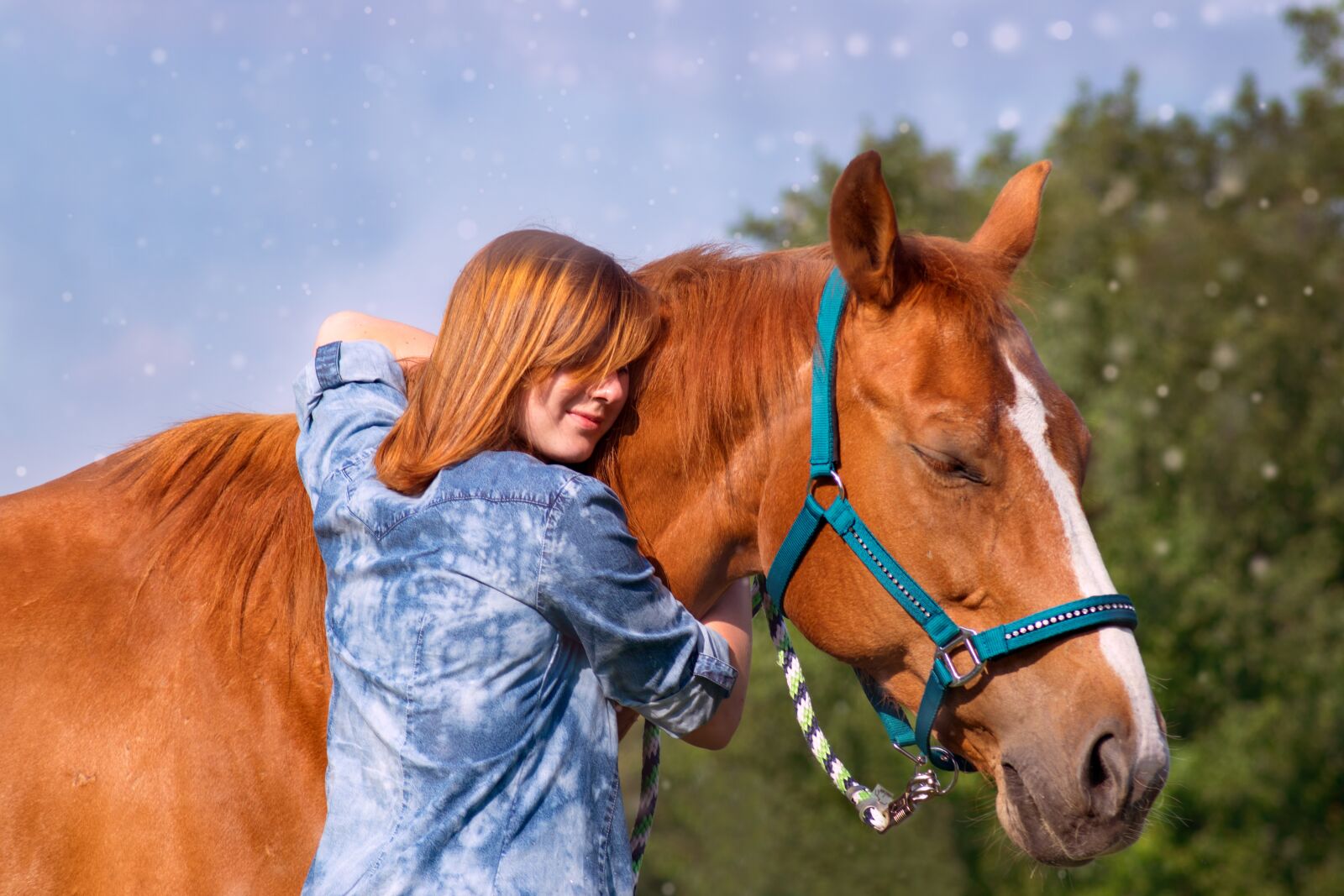 Nikon D3300 sample photo. Mammal, cavalry, horse photography