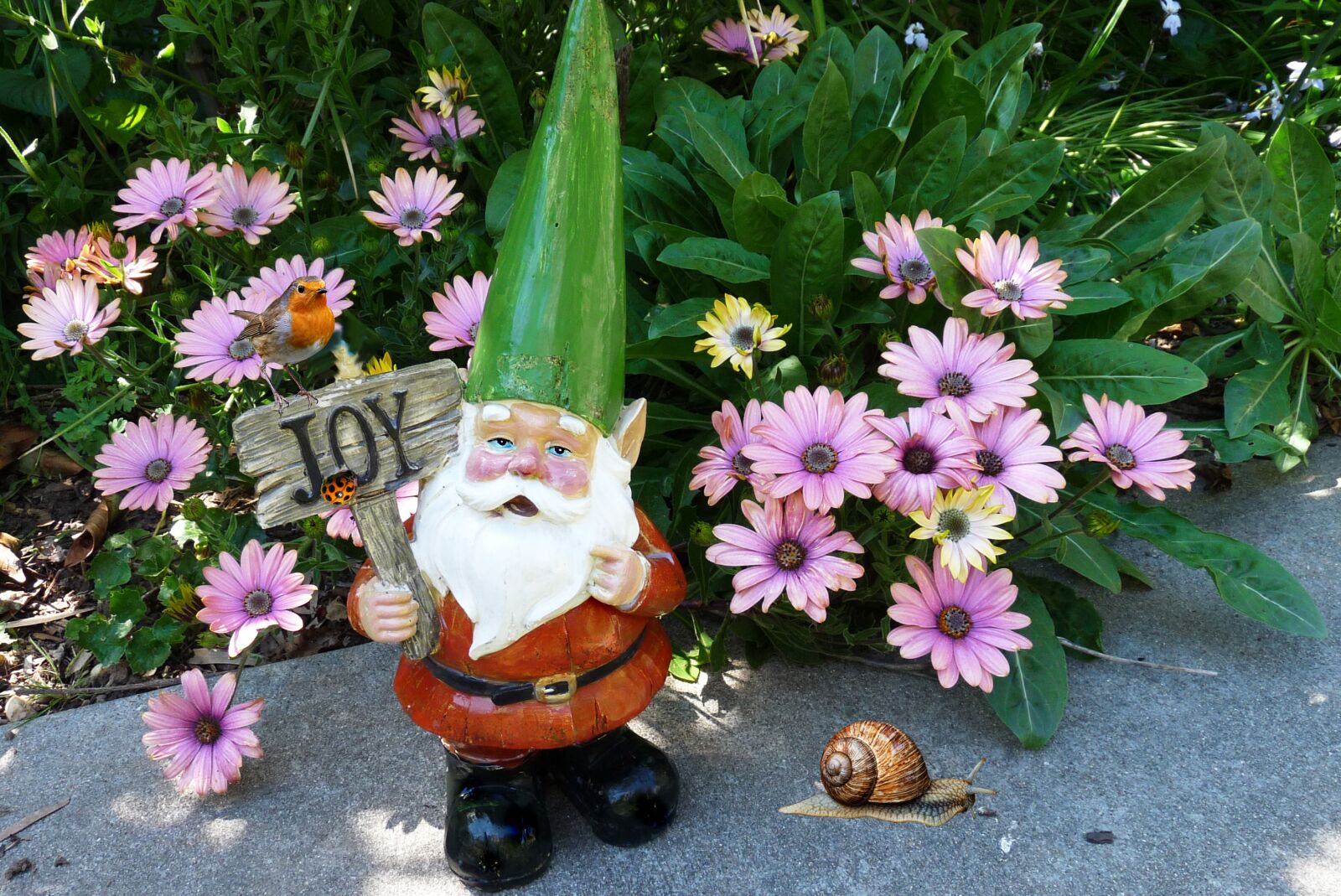 Panasonic Lumix DMC-FZ28 sample photo. Gnome, statue, garden photography
