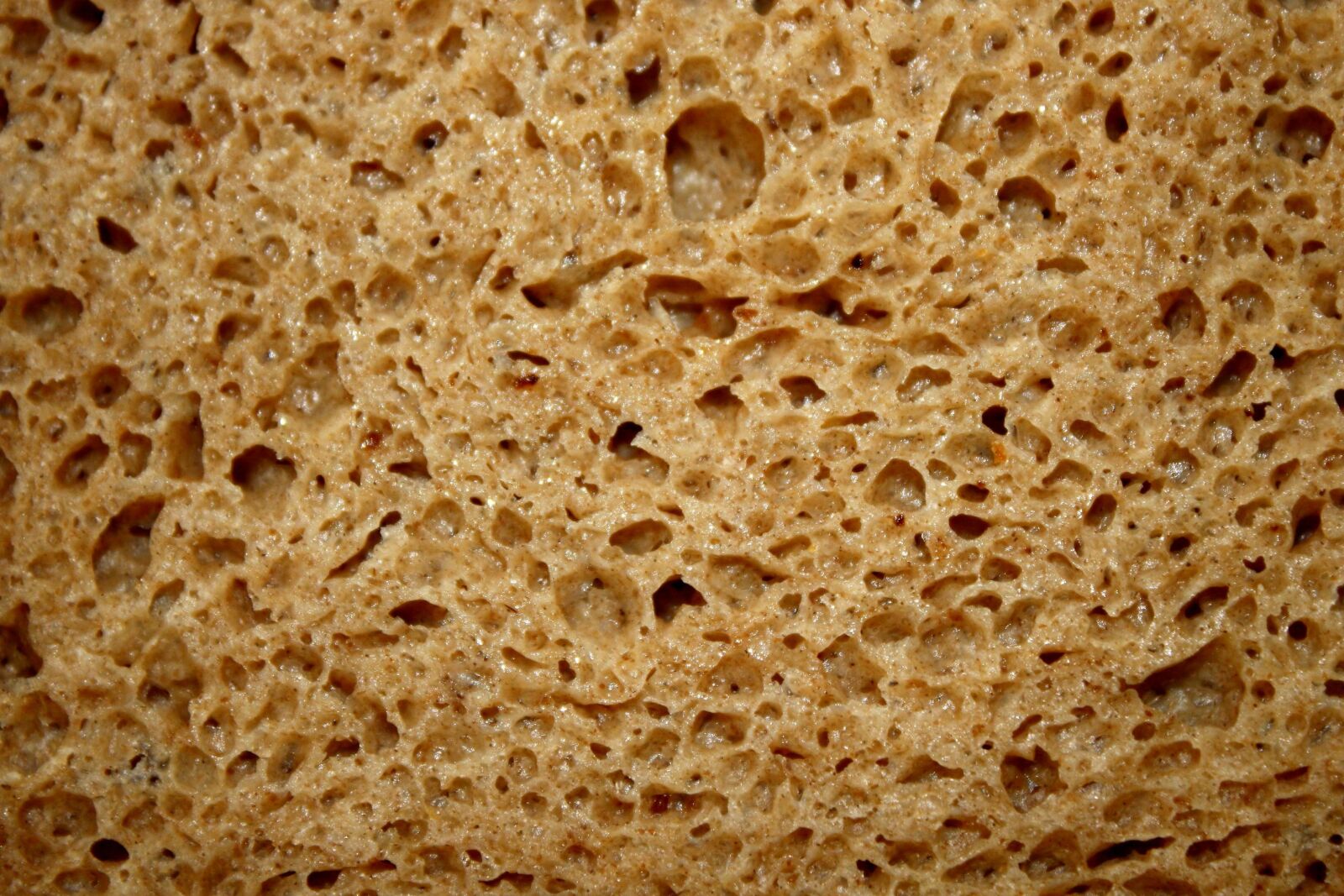 f/3.5-5.6 IS sample photo. Brown bread, slice, carbohydrate photography