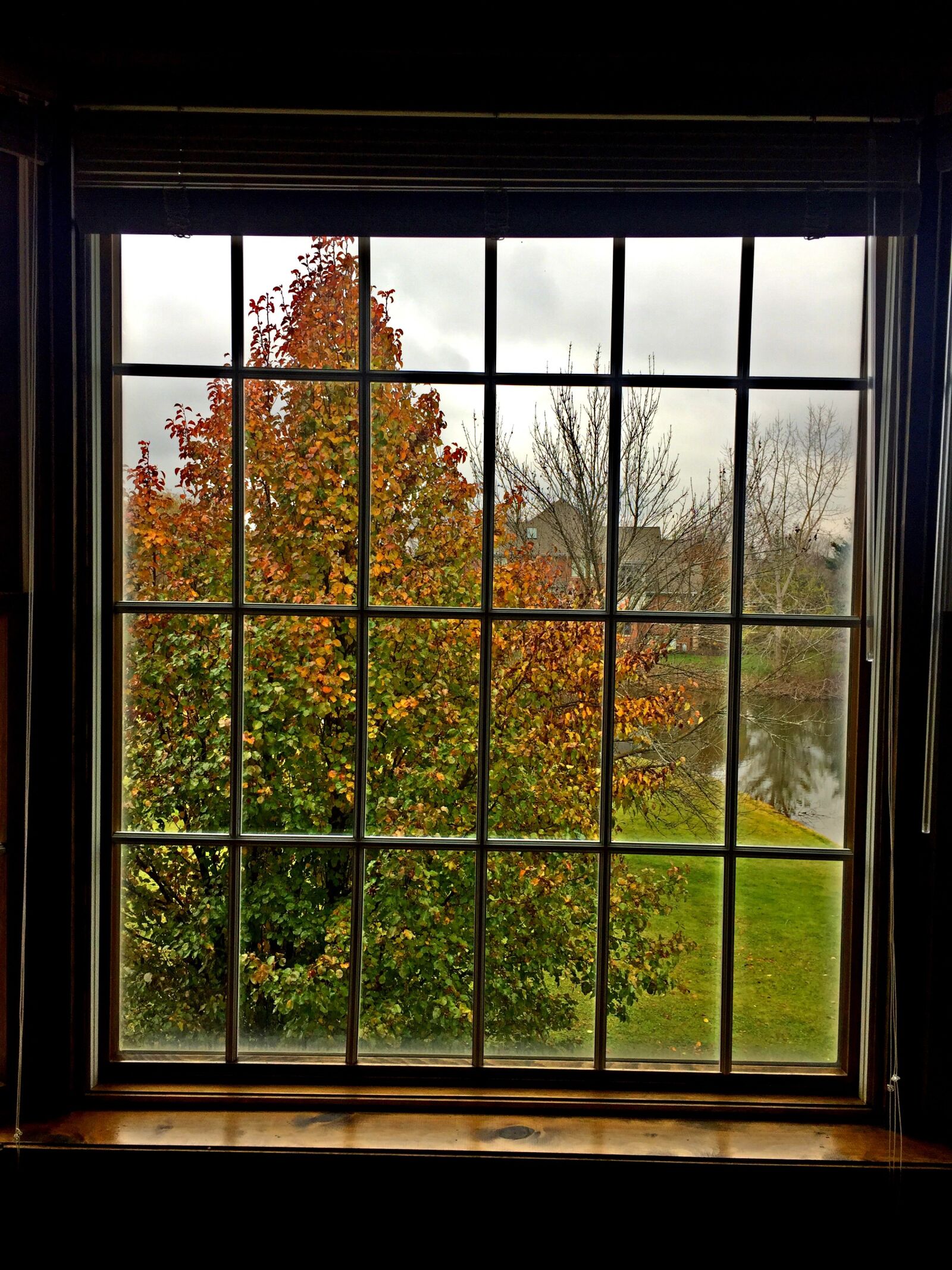 iPhone 6 back camera 4.15mm f/2.2 sample photo