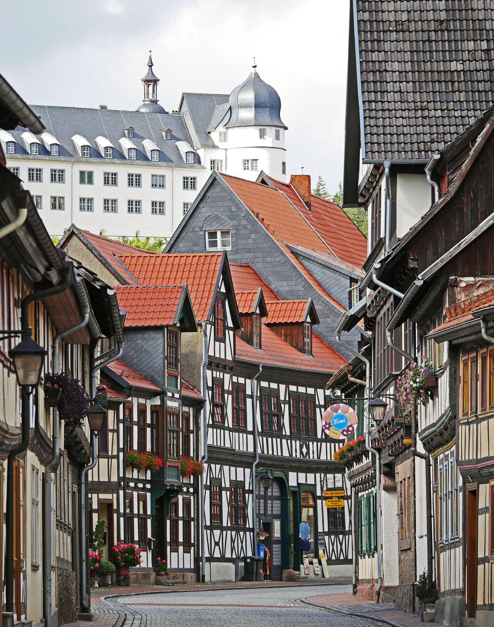 Panasonic Lumix DMC-GH3 sample photo. Truss, castle, historically photography