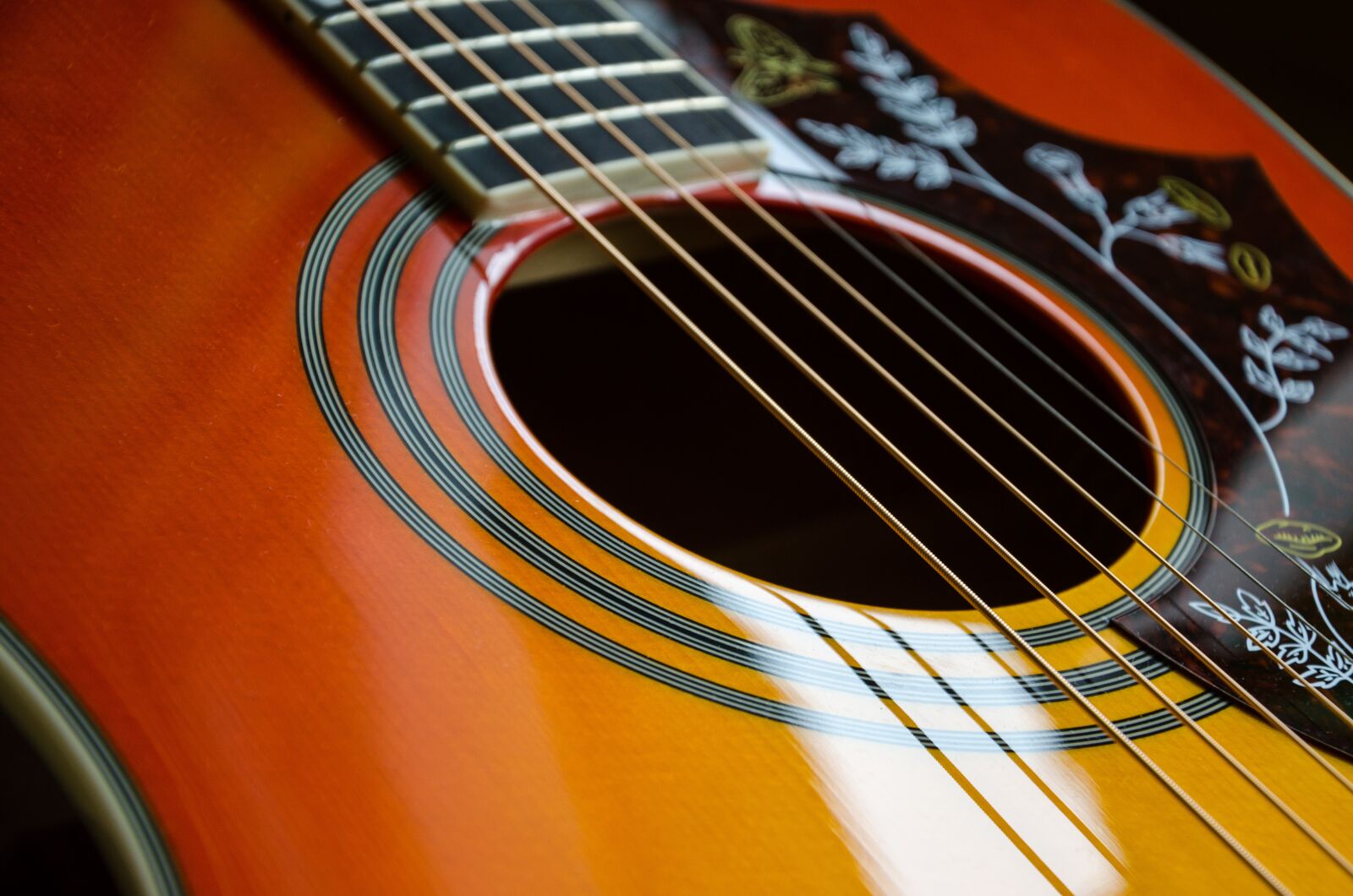 Nikon D5100 sample photo. Guitar, music, band bands photography
