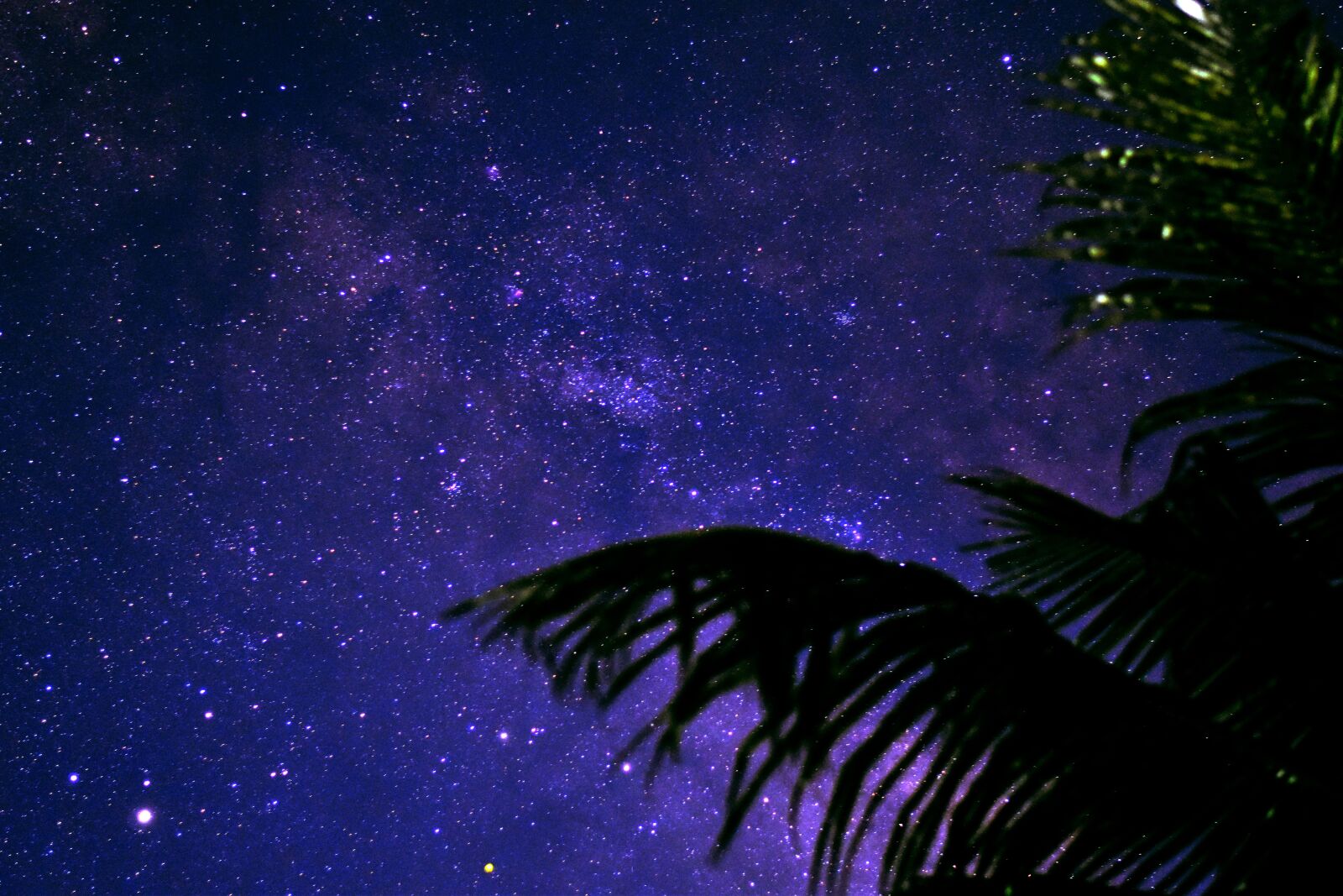 Nikon D3500 sample photo. Astrophotography, astronomy, stars photography