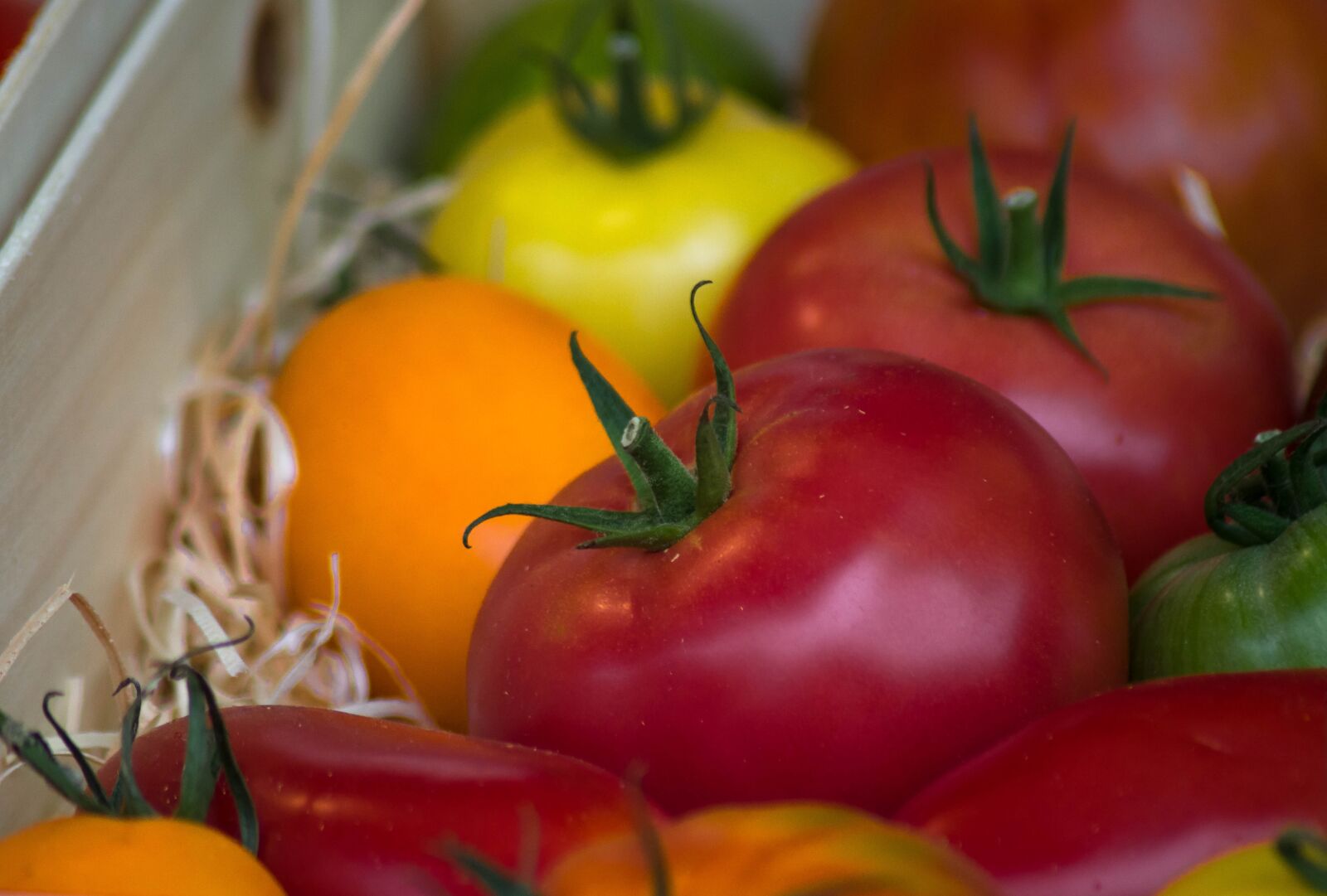 Tamron AF 70-300mm F4-5.6 Di LD Macro sample photo. Tomatoes, vegetables, harvest photography