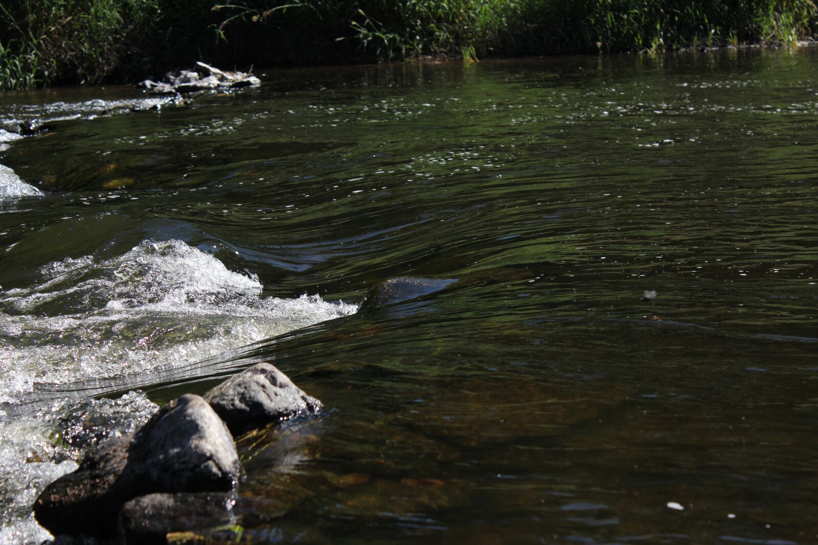 Canon EOS 550D (EOS Rebel T2i / EOS Kiss X4) sample photo. River, water, nature photography