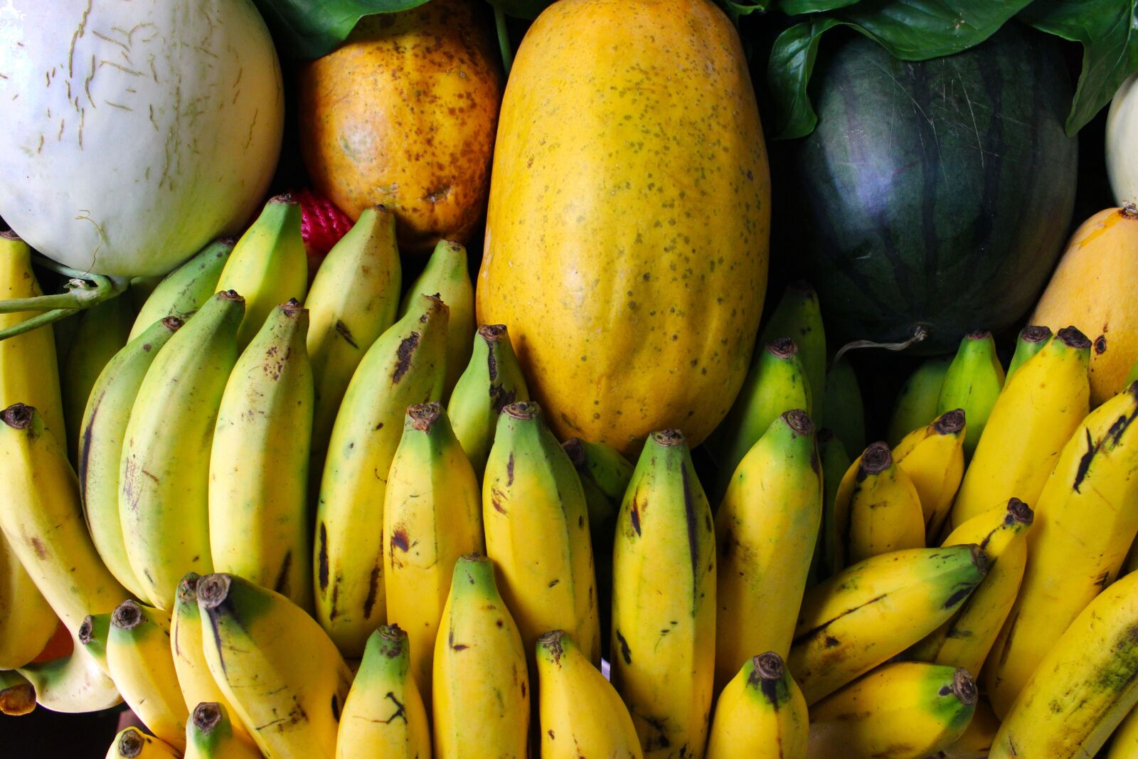 Canon EOS 700D (EOS Rebel T5i / EOS Kiss X7i) sample photo. Fruit, bananas, melons photography
