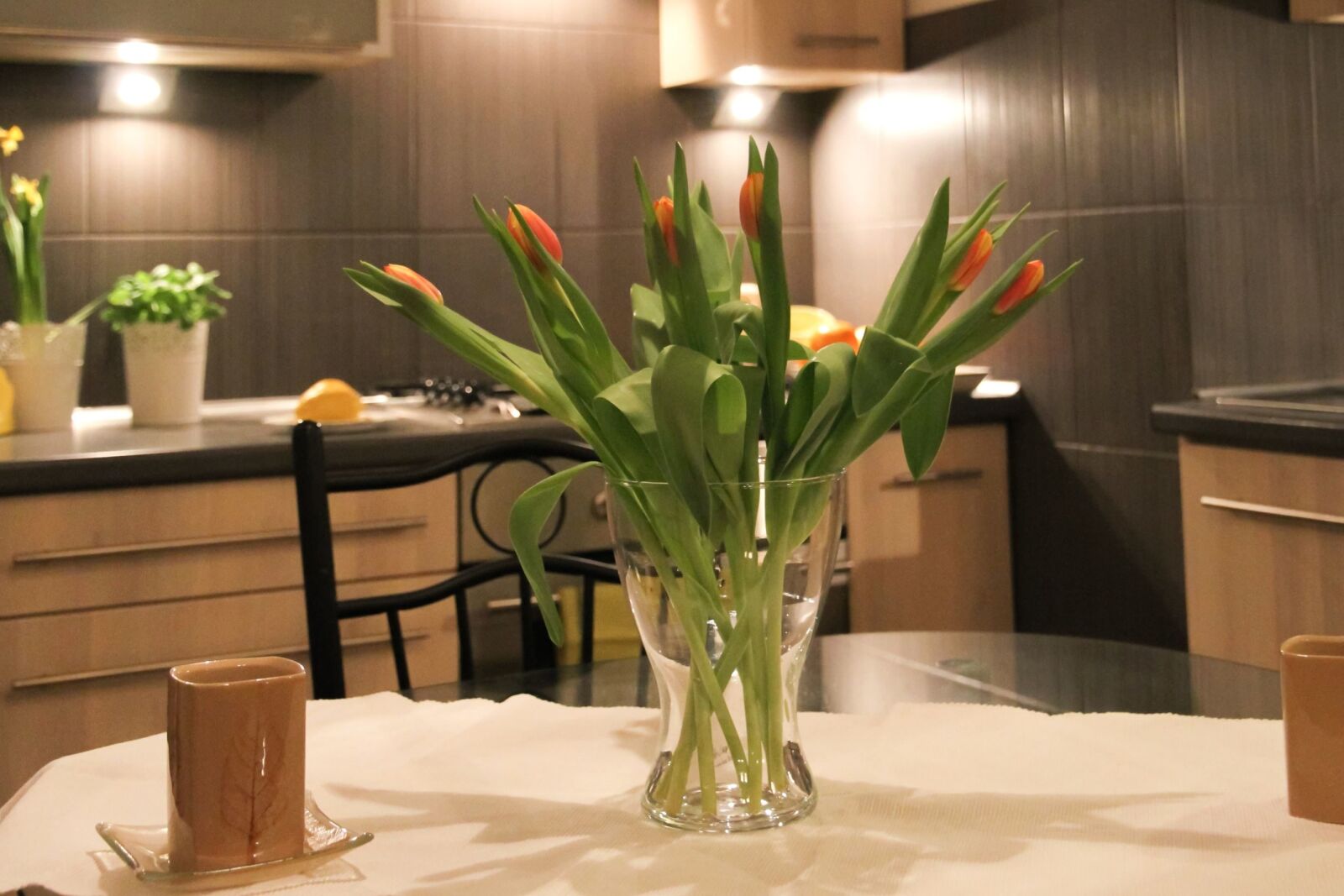 Canon EOS 7D sample photo. Vase, plant, flower, leaf photography