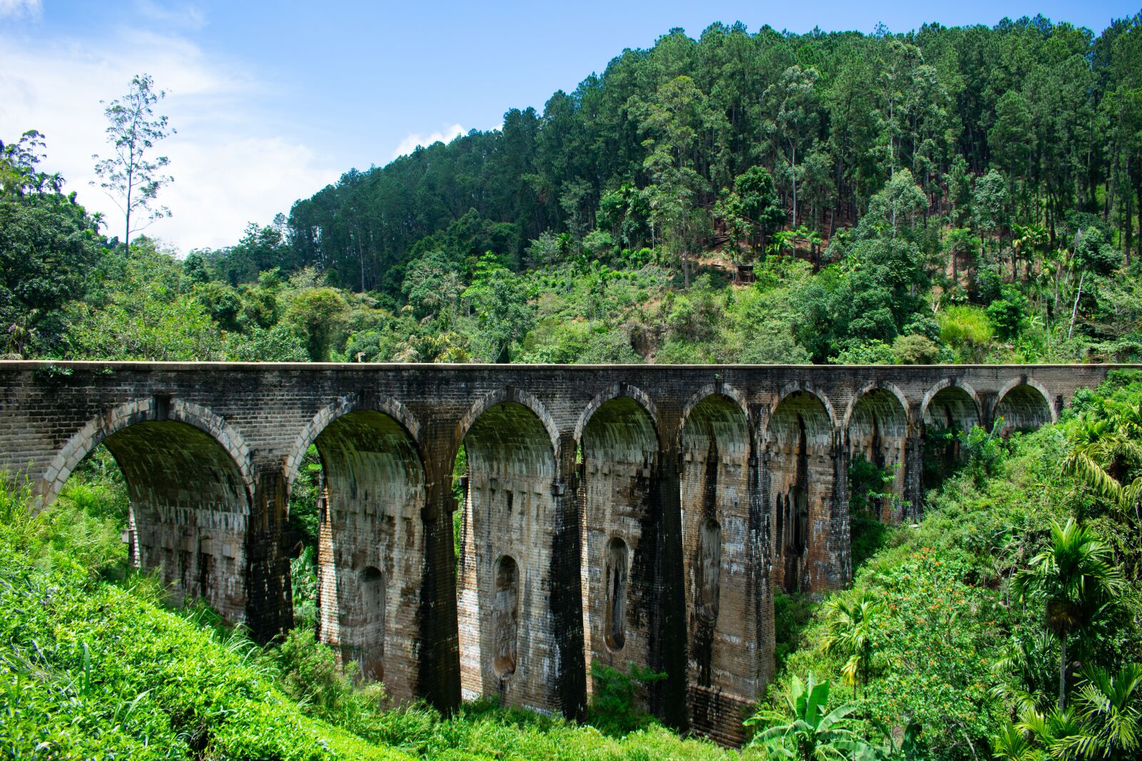 Nikon D3400 sample photo. Bridge, train, green photography