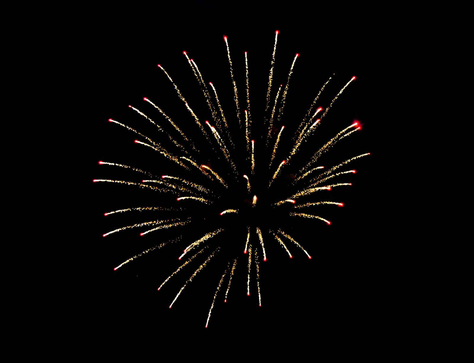 Nikon D3200 sample photo. Fireworks, new year, festival photography