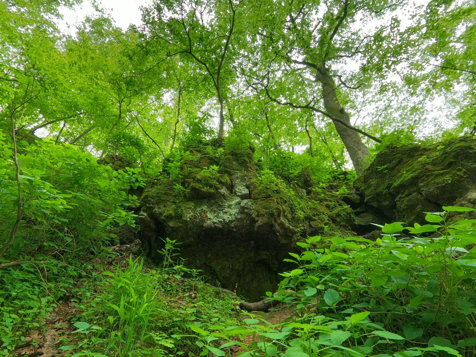 GoPro Hero8 Black sample photo. Maramec spring, green, woods photography