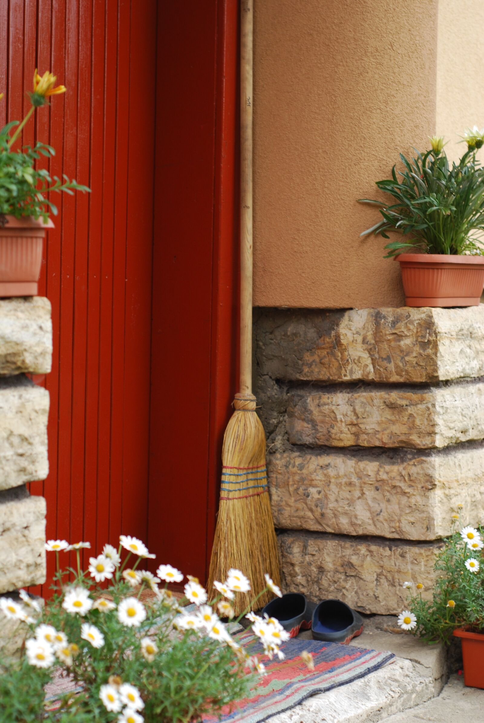 Nikon D60 sample photo. Broom, door step, flowers photography