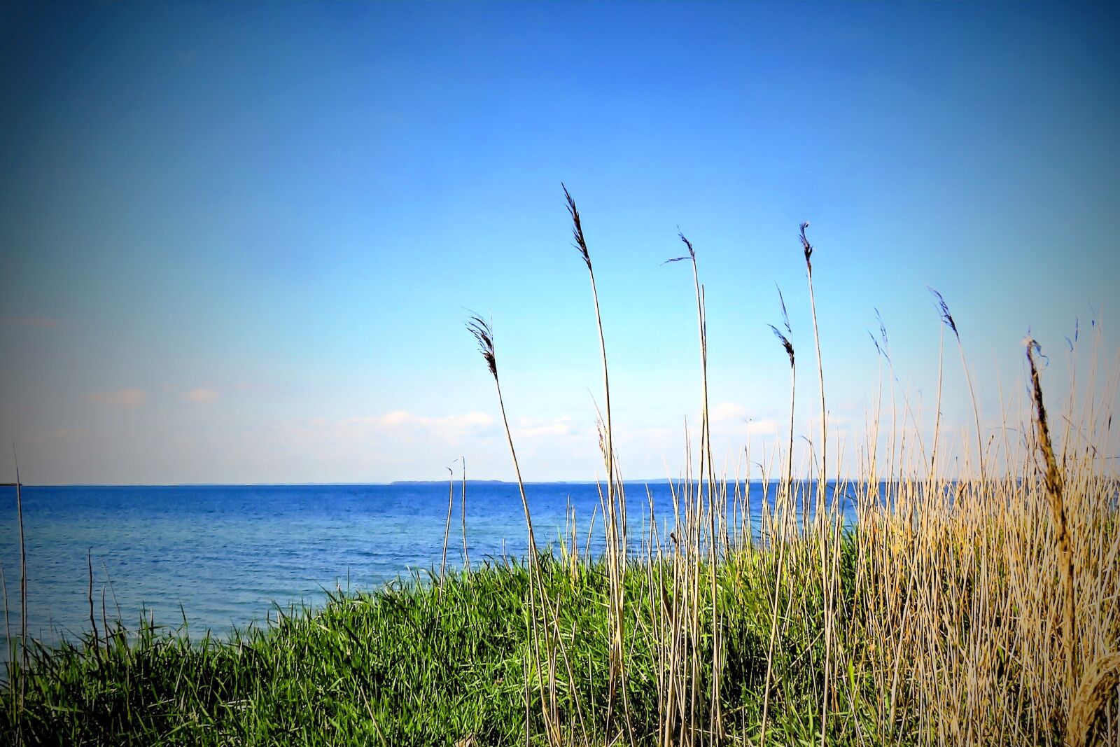 Canon PowerShot SX710 HS sample photo. Landscape, sea, baltic sea photography