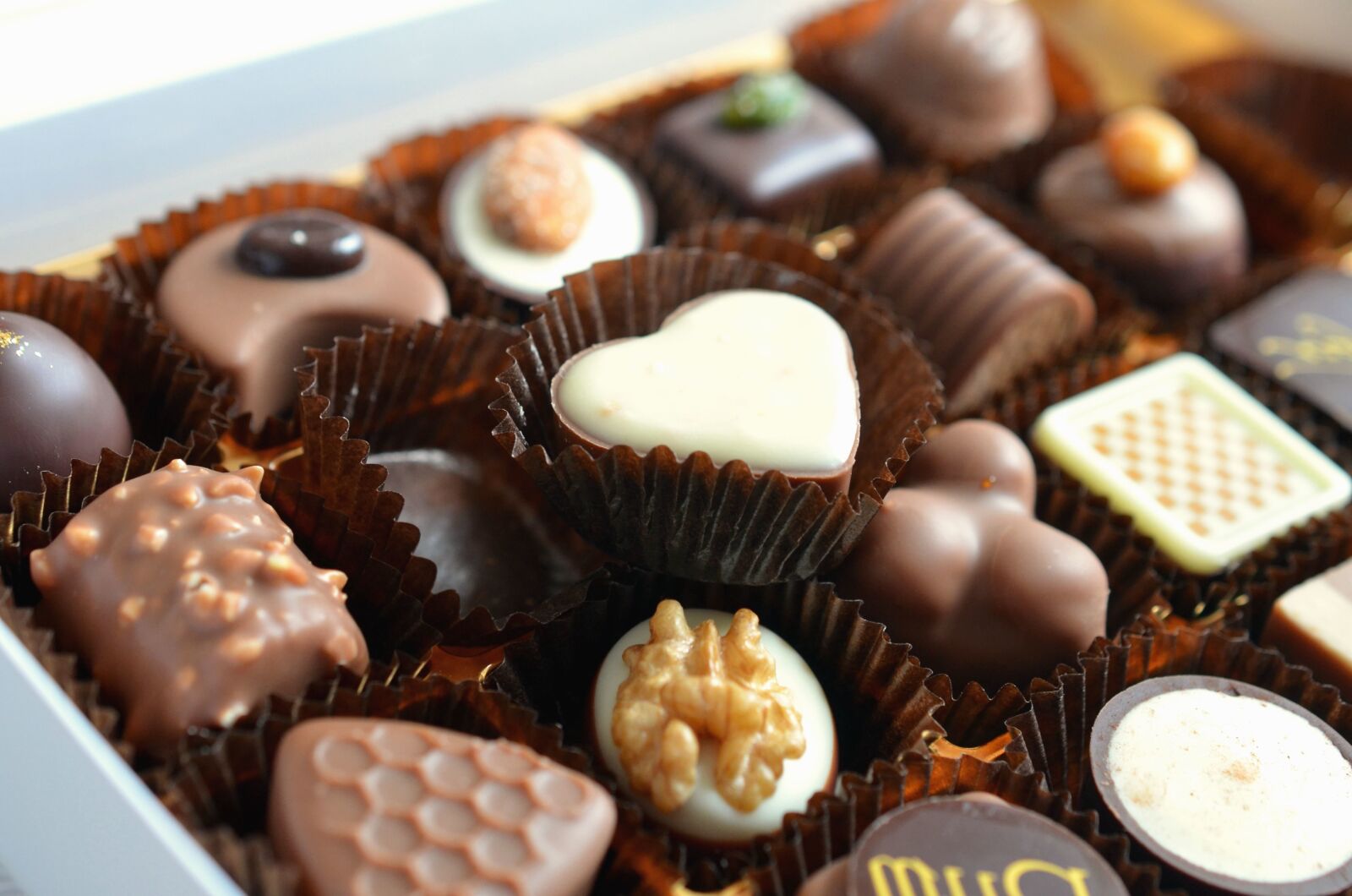 Nikon D5100 sample photo. Chocolate, sweet, decoration, walnut photography
