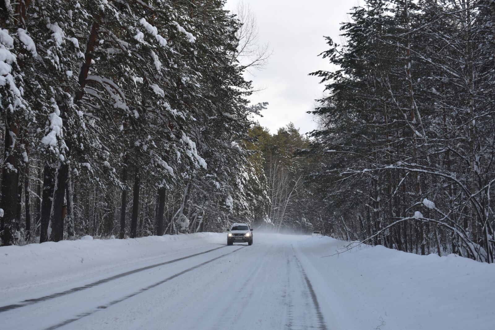 Nikon D3400 sample photo. Winter, snow, forest photography