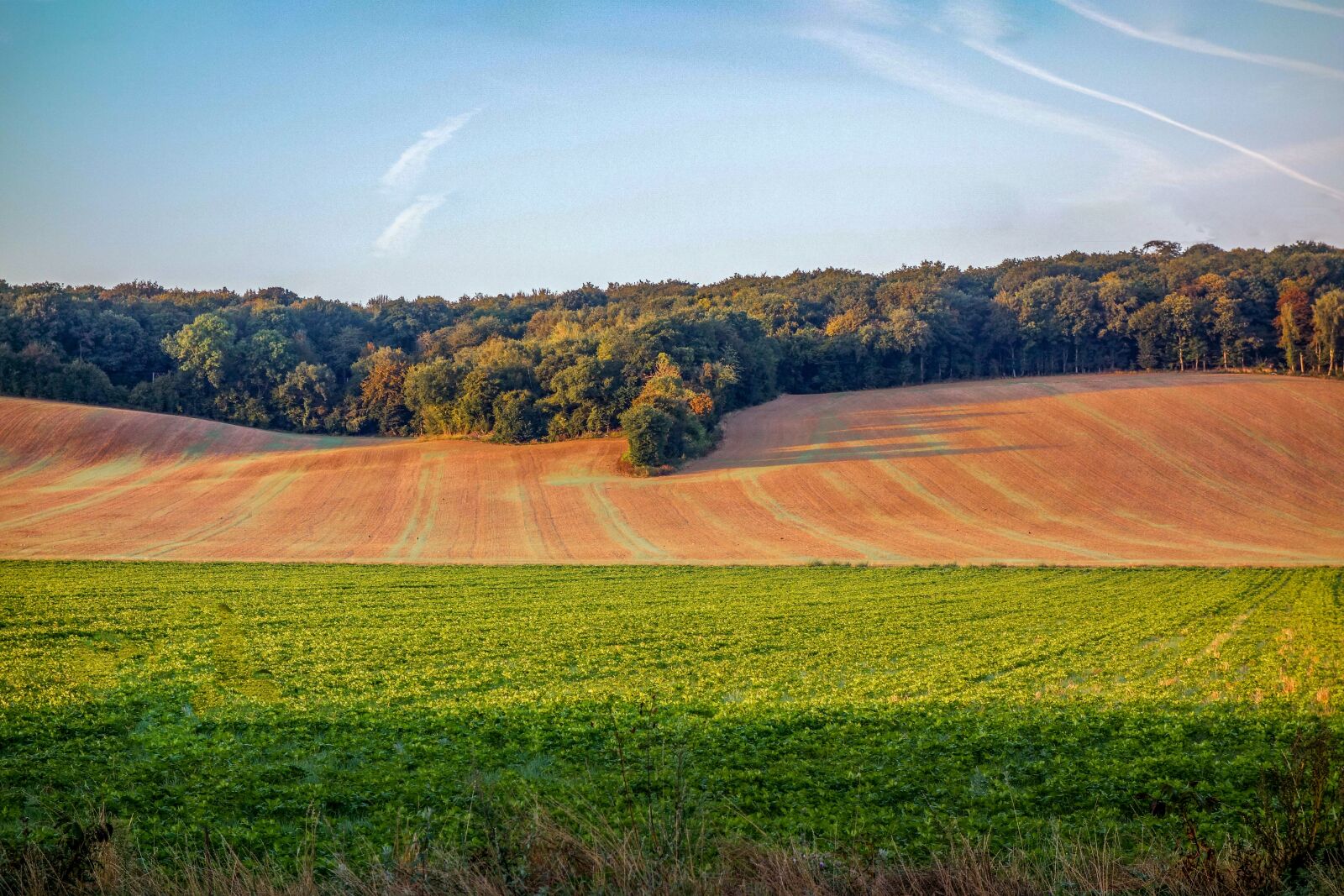 Sony Cyber-shot DSC-RX100 sample photo. Landscape, france, normandy photography