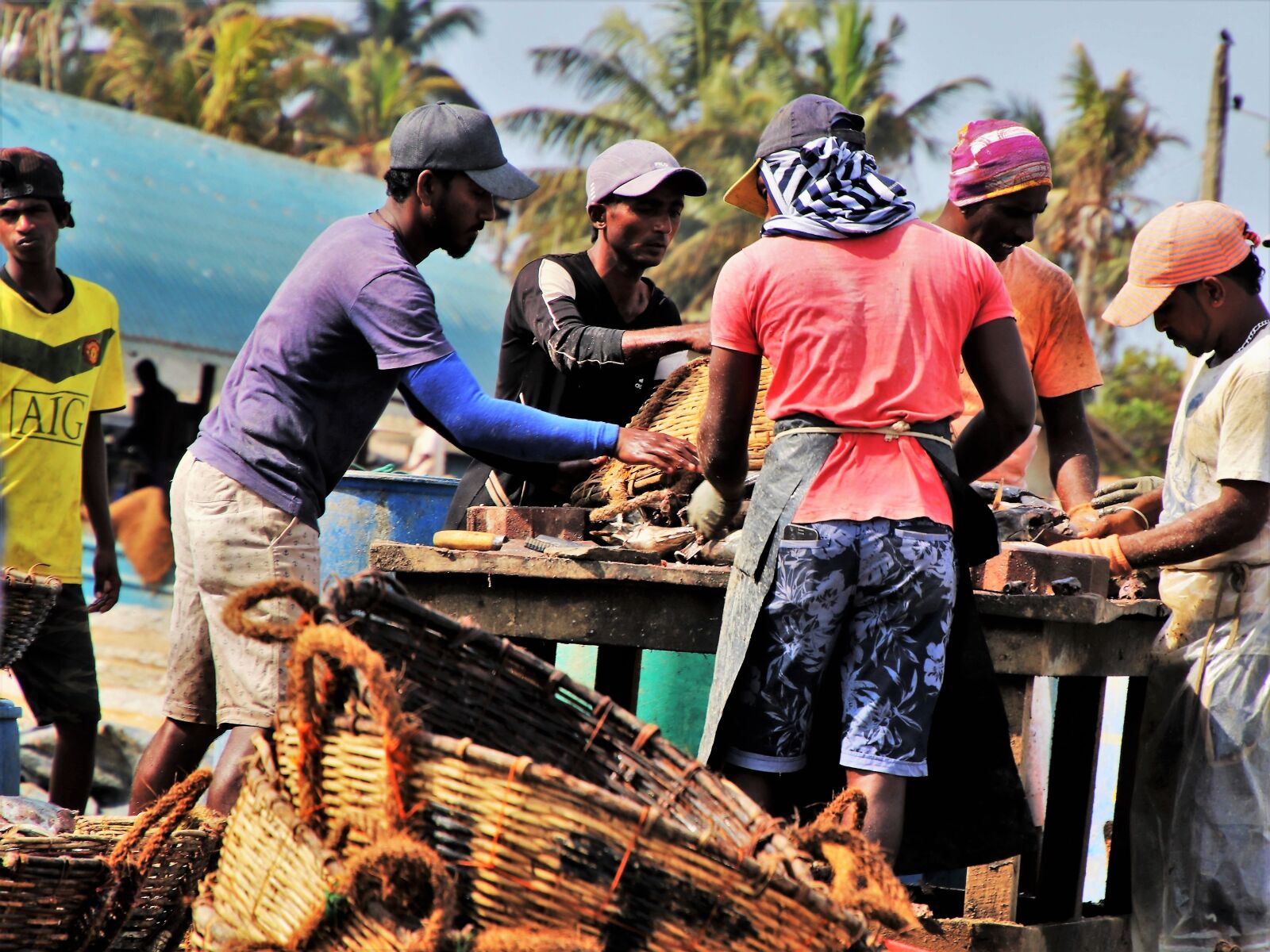 Canon EOS 80D sample photo. The fishermen, sorting, fish photography