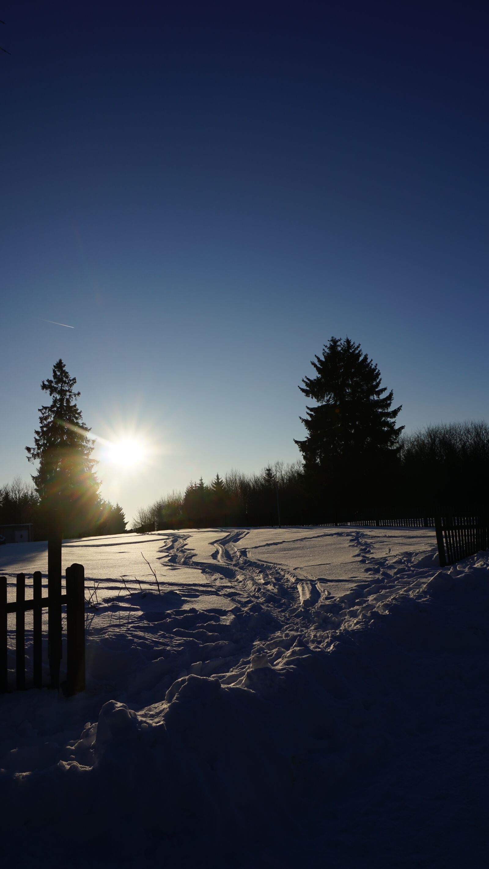 Sony a6000 sample photo. Winter, sun, snow photography