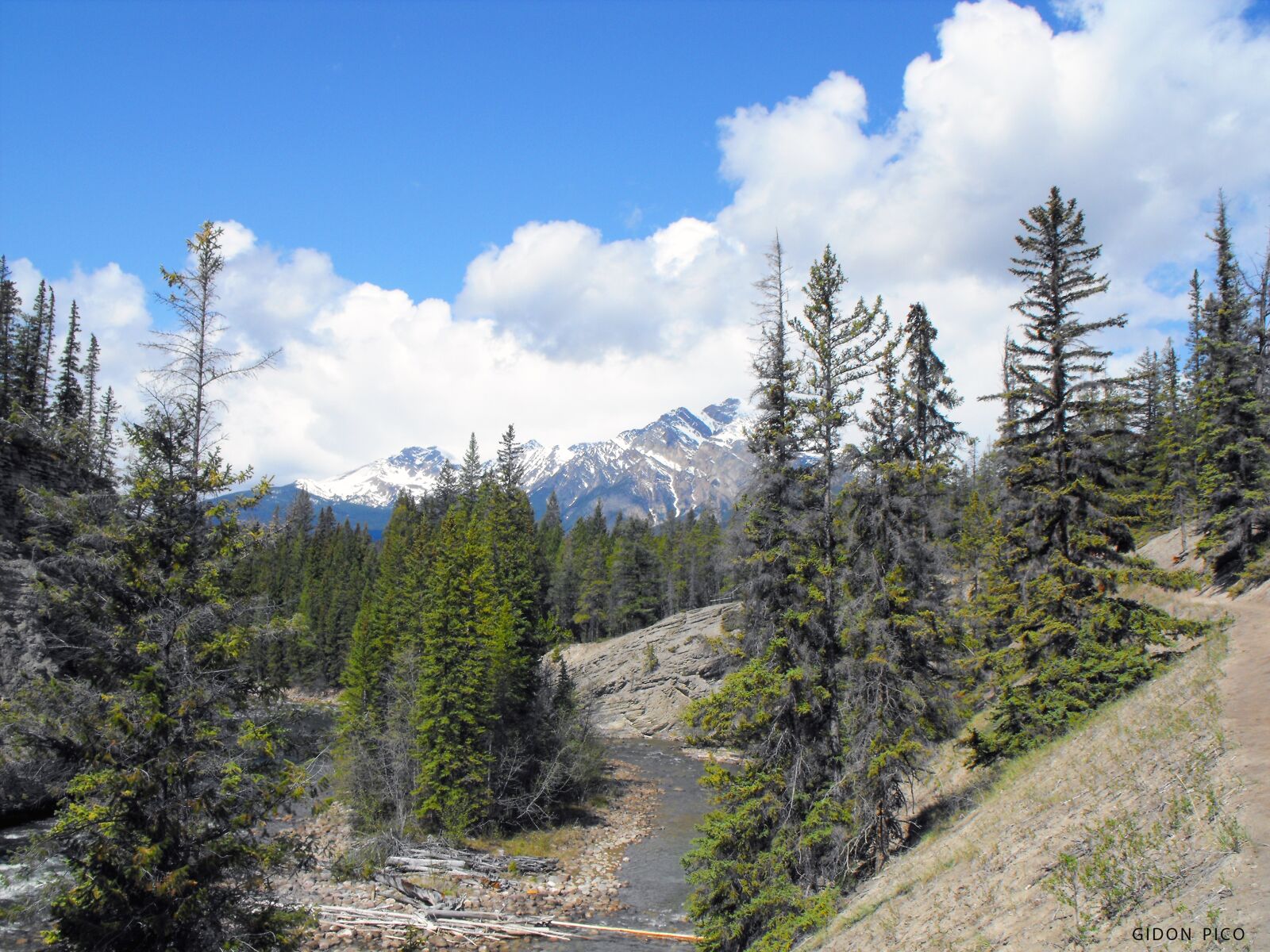 Fujifilm FinePix S1000fd sample photo. Alaska, usa, photo photography