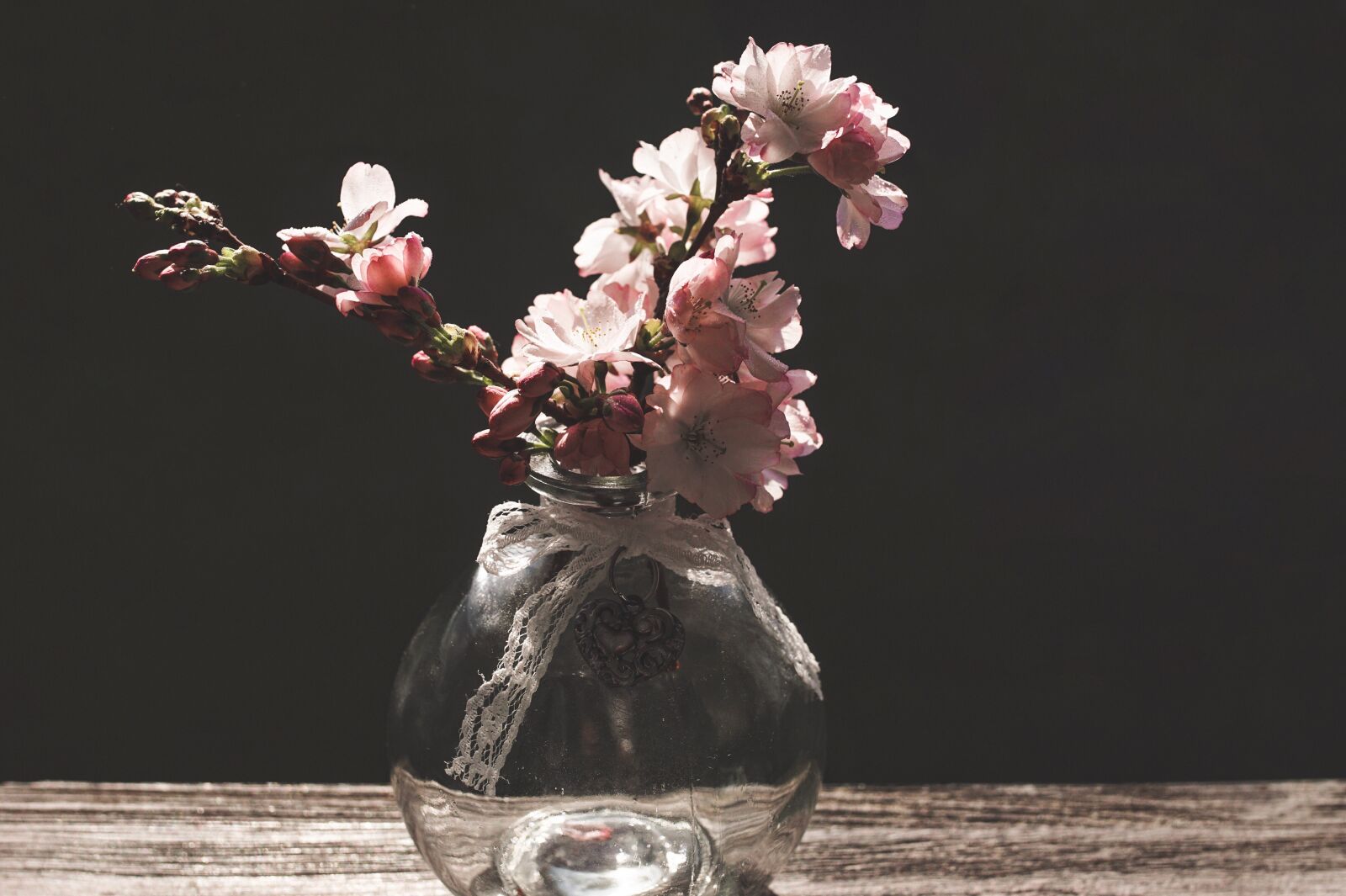 Sony ILCA-77M2 sample photo. Cherry blossoms, branch, pink photography