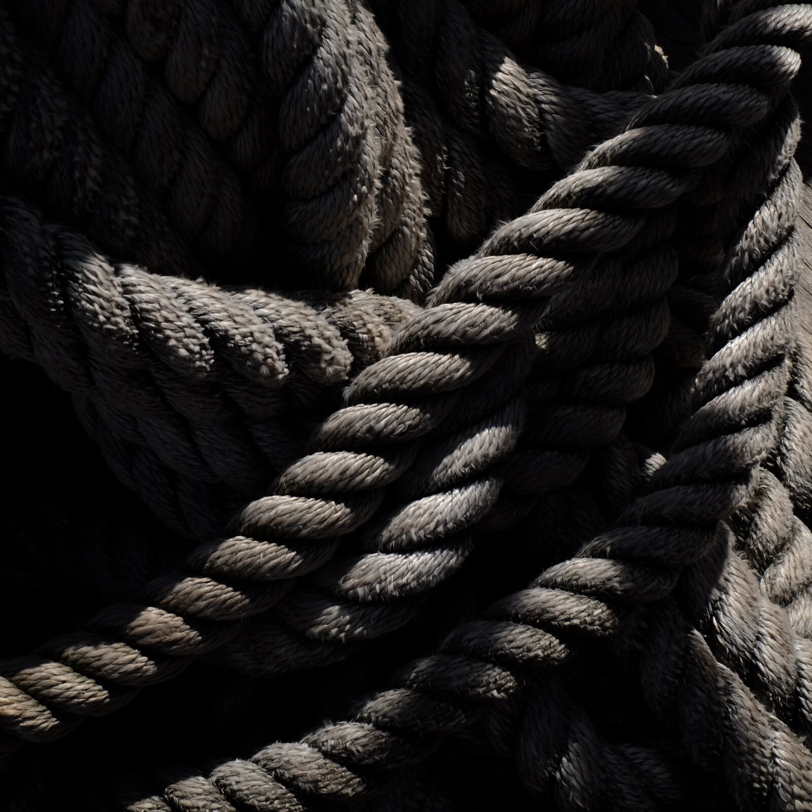 Fujifilm X-M1 sample photo. Rope, node, bandaged photography