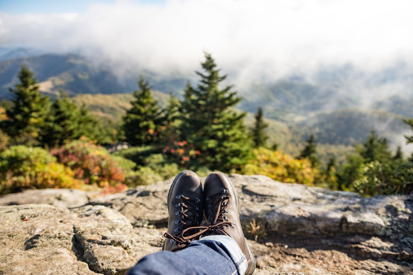 Nikon D7200 sample photo. Adventure, boots, conifers photography