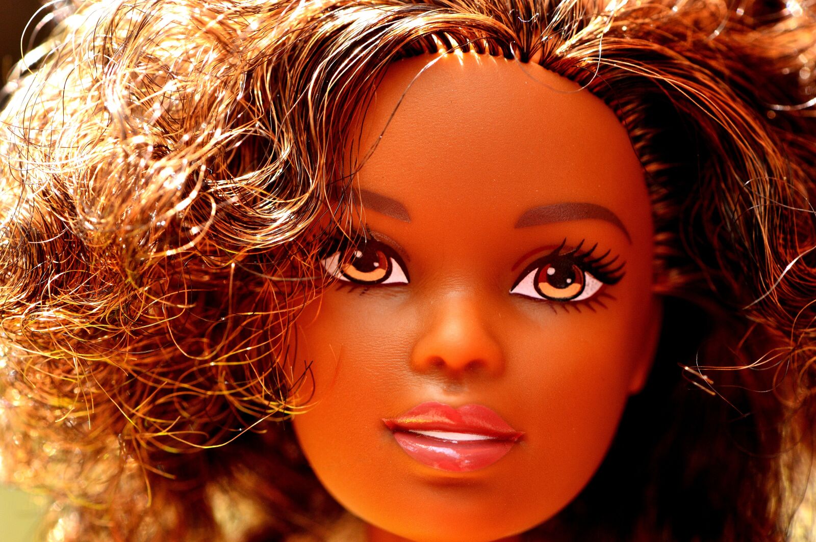 Nikon D3200 sample photo. Barbie, doll, toys photography