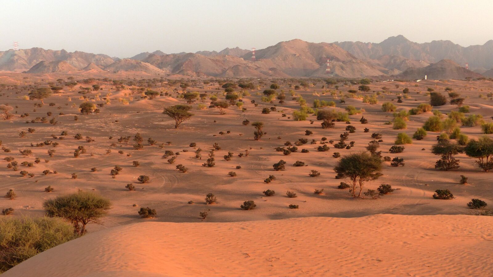 Panasonic Lumix DMC-FZ200 sample photo. Desert, arid, oman photography
