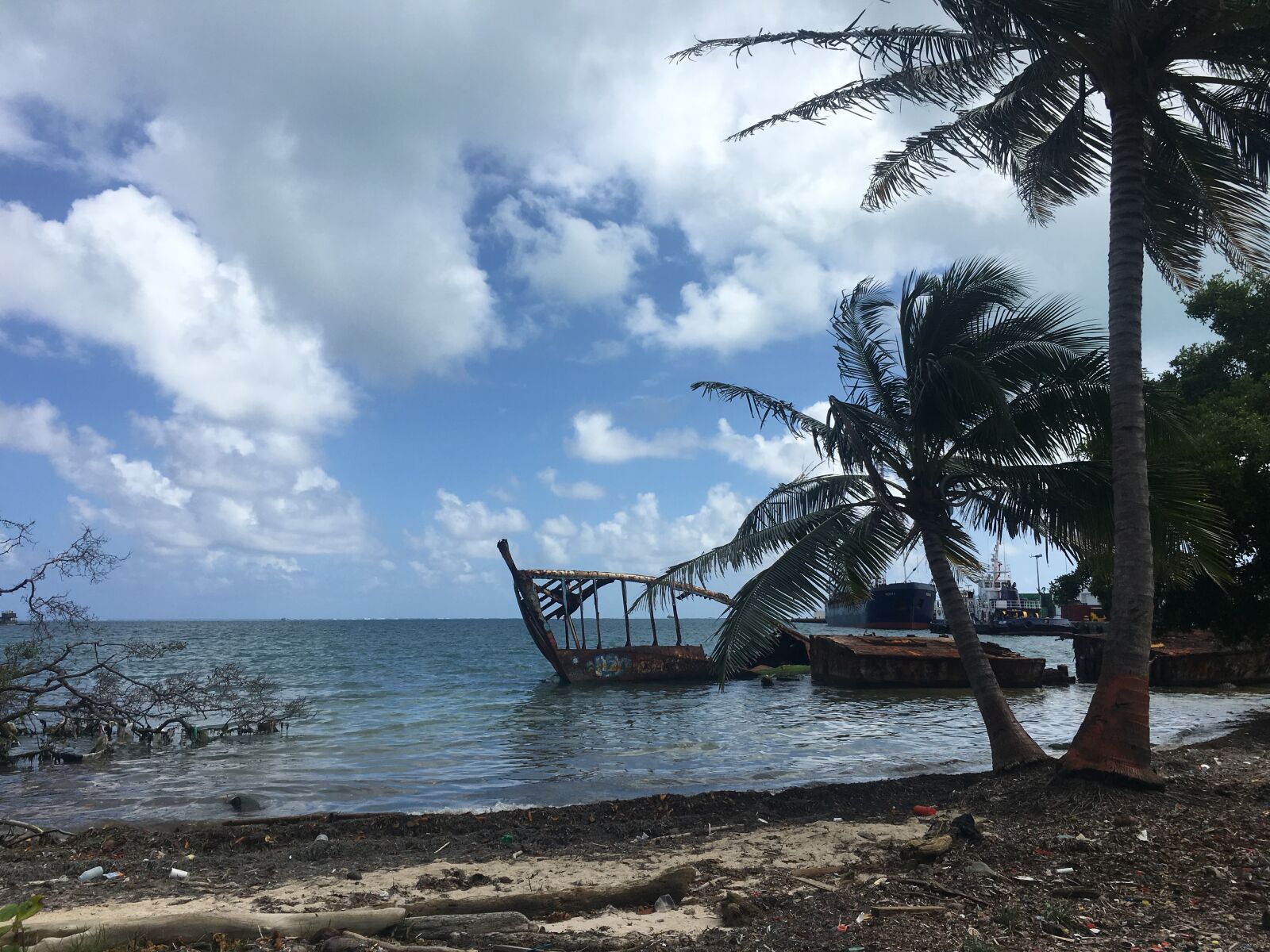 Apple iPhone 6s sample photo. Mar, beach, coconut tree photography